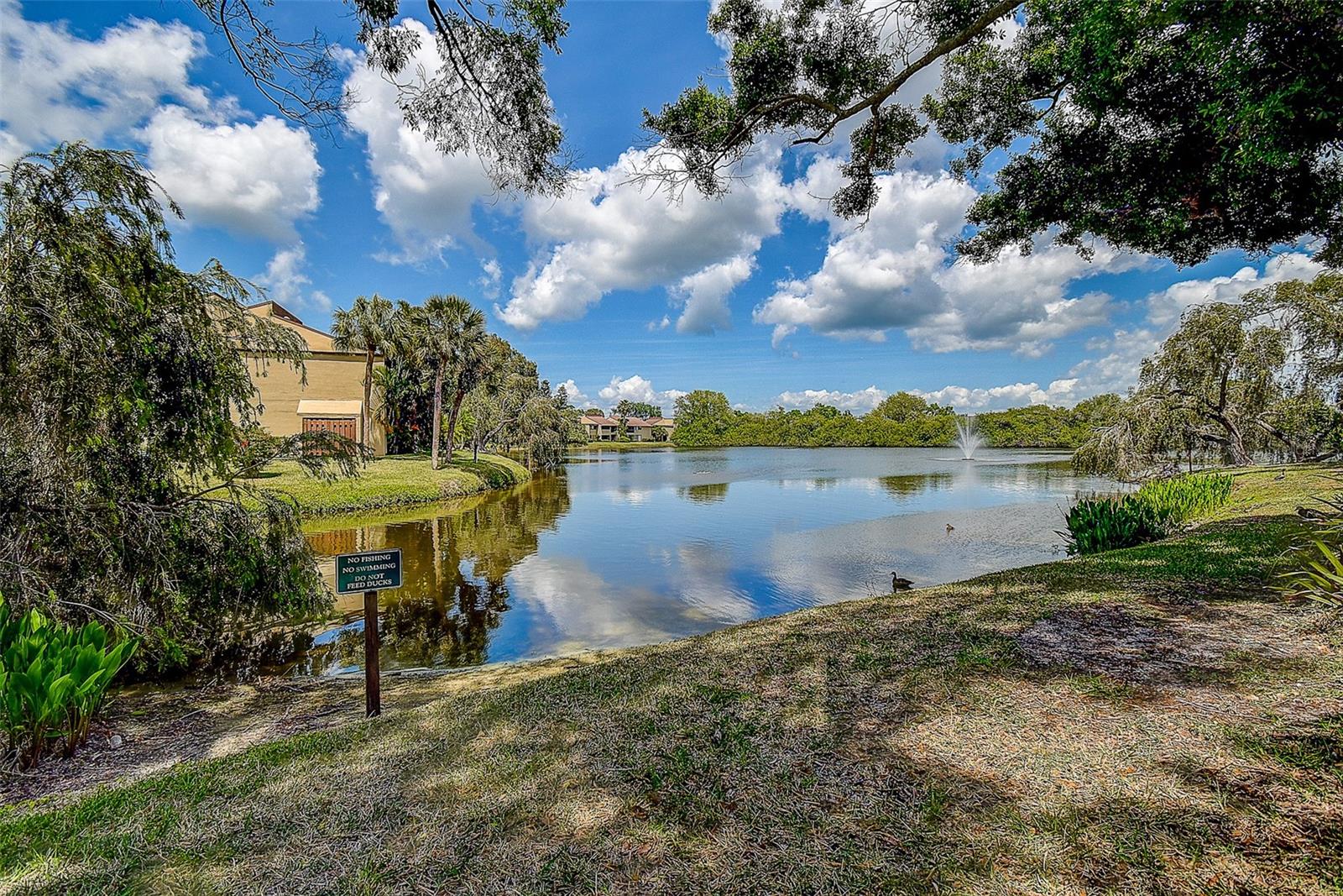 860 S VILLAGE DR N #106, ST PETERSBURG, FL, 33716