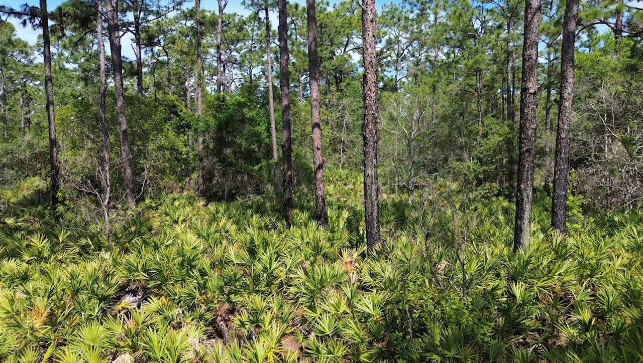 S APOPKA VINELAND RD, ORLANDO, FL, 32821
