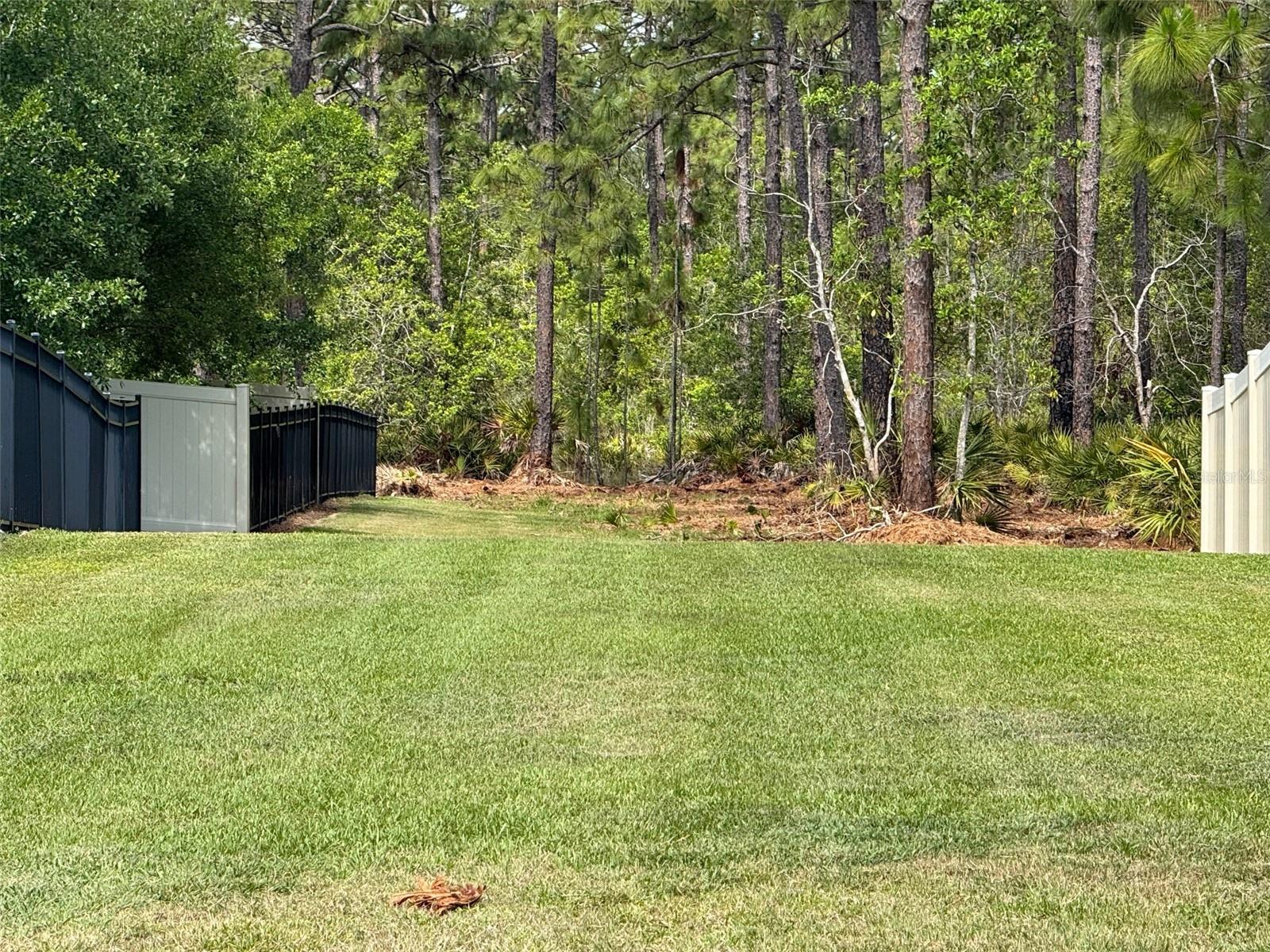 S APOPKA VINELAND RD, ORLANDO, FL, 32821