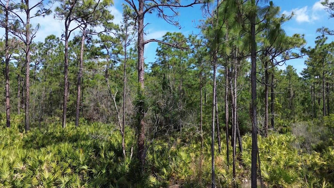 S APOPKA VINELAND RD, ORLANDO, FL, 32821