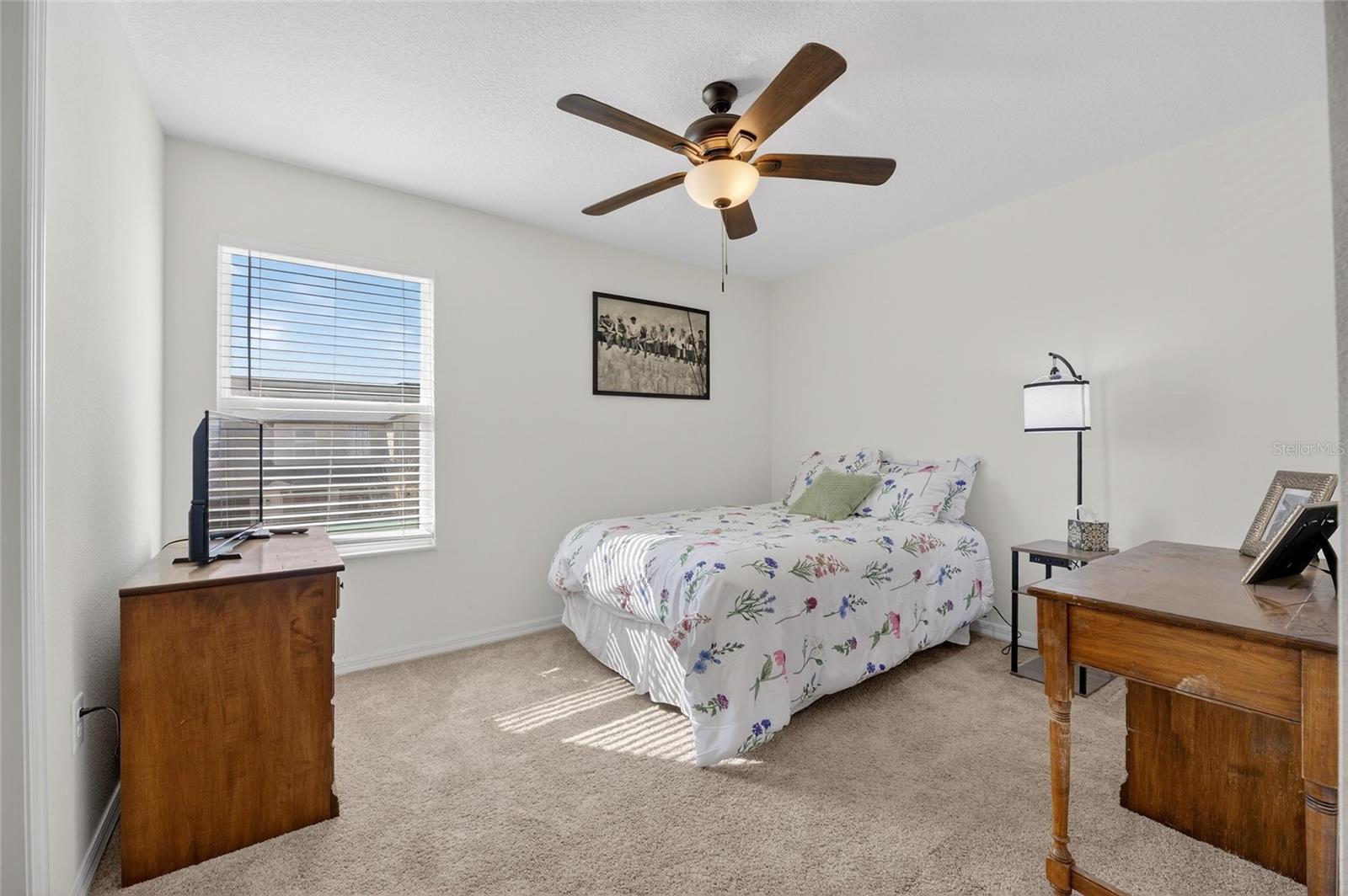 5335 NEW FRIENDSHIP PL, TAMPA, FL, 33619