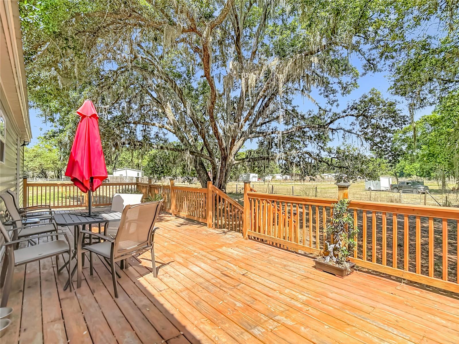 40949 JERRY RD, ZEPHYRHILLS, FL, 33540