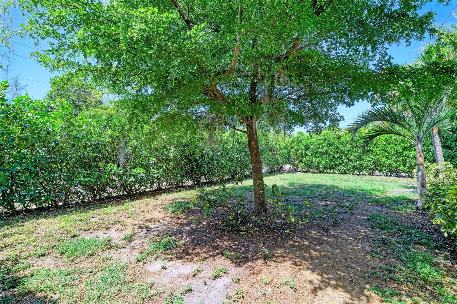 3710 RILMA AVE, SARASOTA, FL, 34234