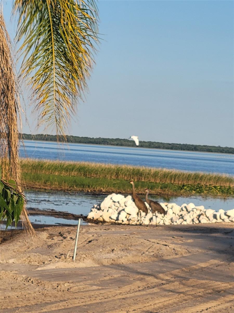 NOT IN SUBDIVISION PER TAX RECORDS, LAKE WALES, FL, 33853