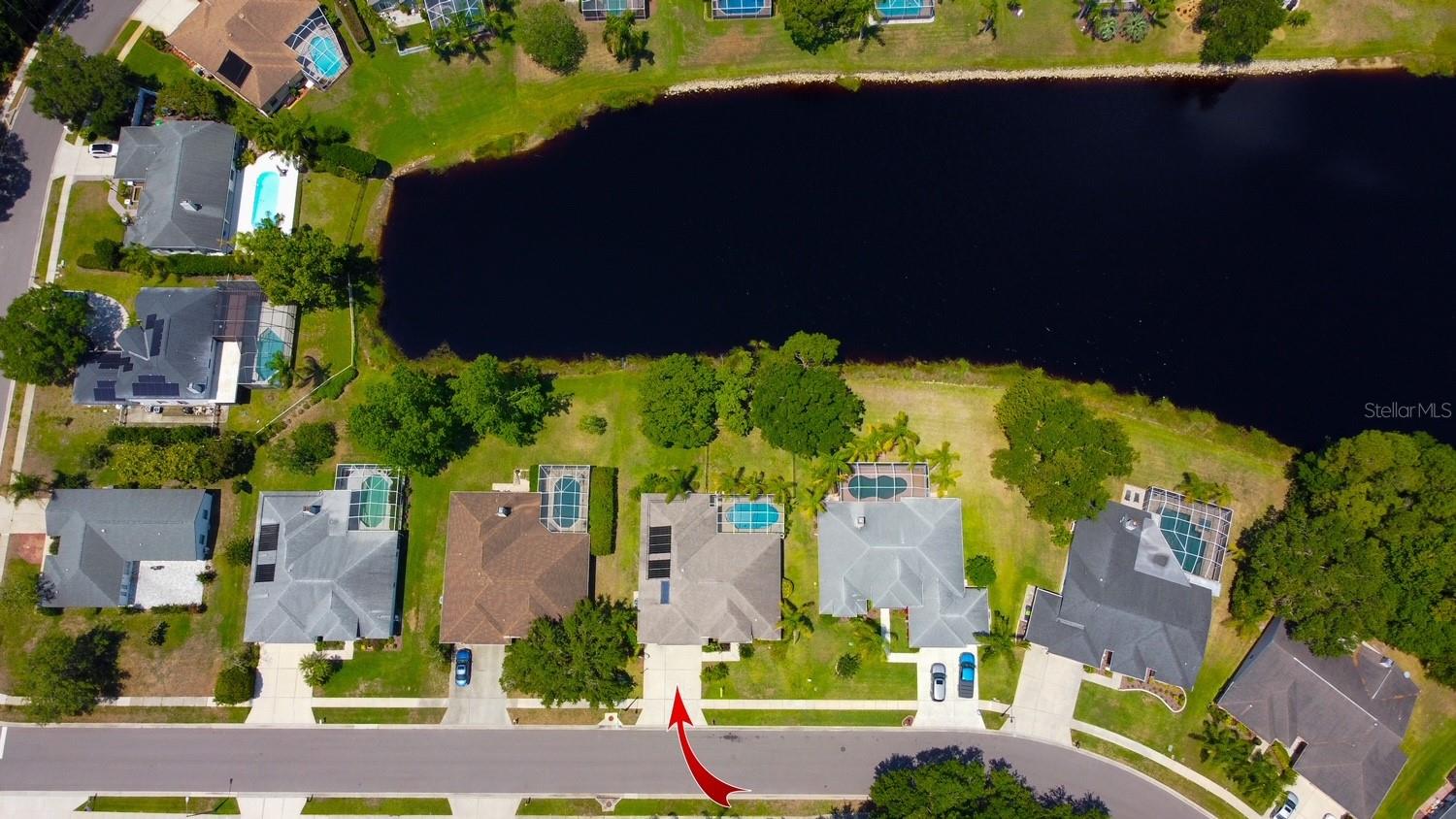 2456 APPALOOSA TRL, PALM HARBOR, FL, 34685