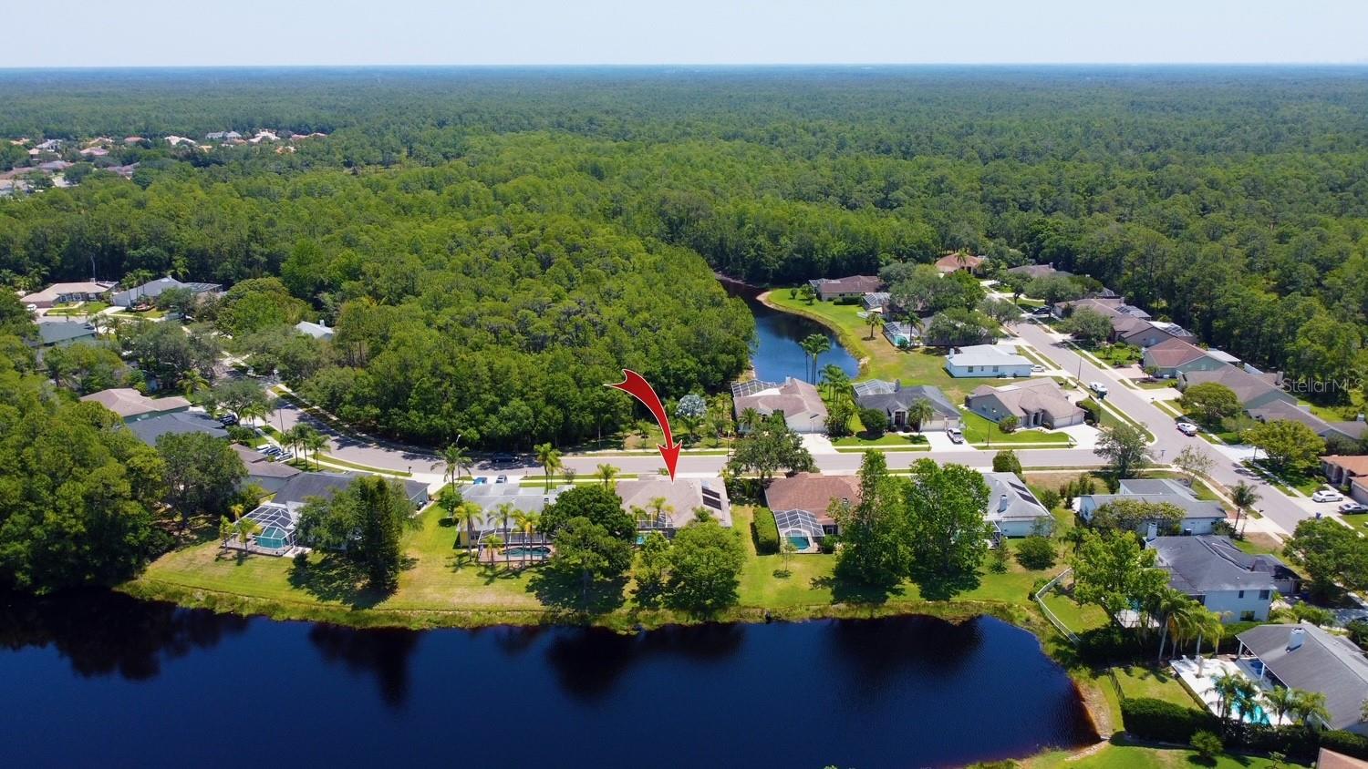 2456 APPALOOSA TRL, PALM HARBOR, FL, 34685