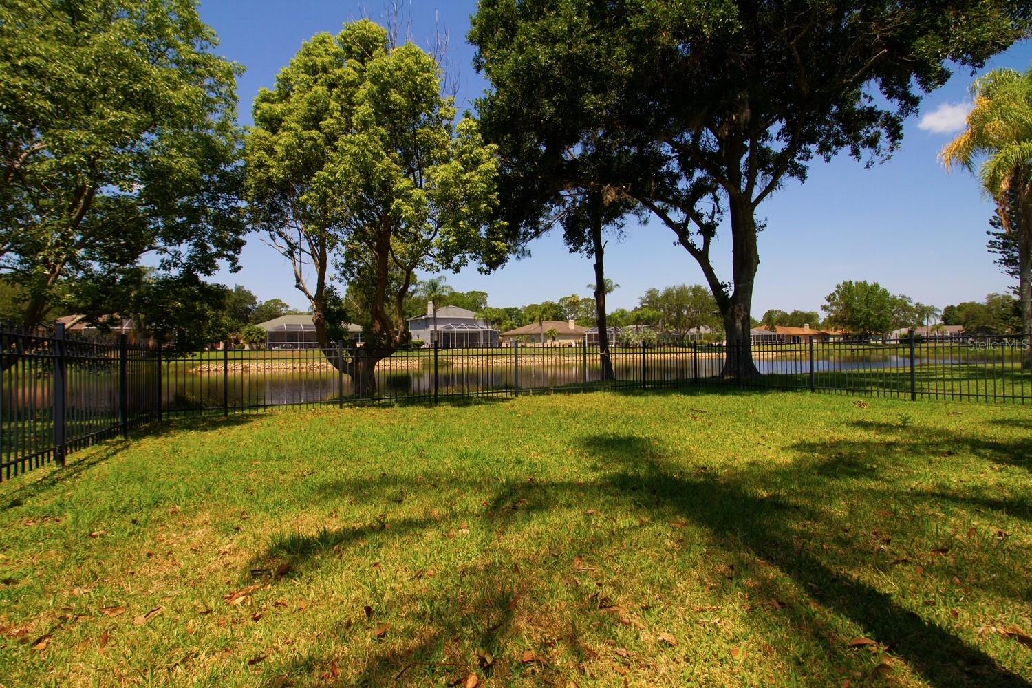 2456 APPALOOSA TRL, PALM HARBOR, FL, 34685