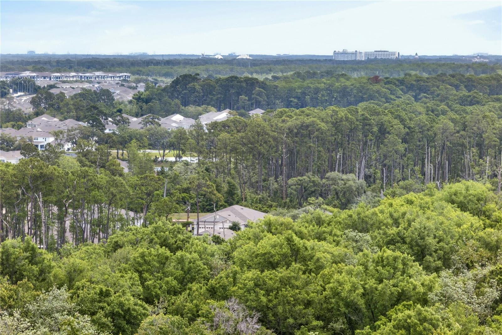 3424 TWIN FLOWER CT, CLERMONT, FL, 34714