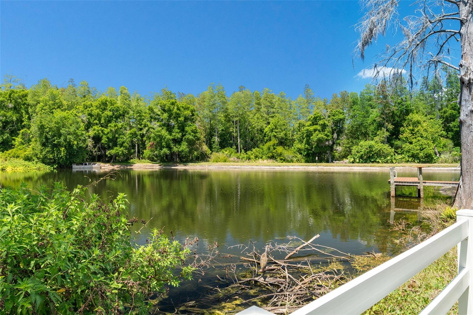 16104 COUNTRY CROSSING DR, TAMPA, FL, 33624