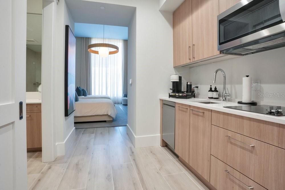275 1ST AVE S #3808, ST PETERSBURG, FL, 33701