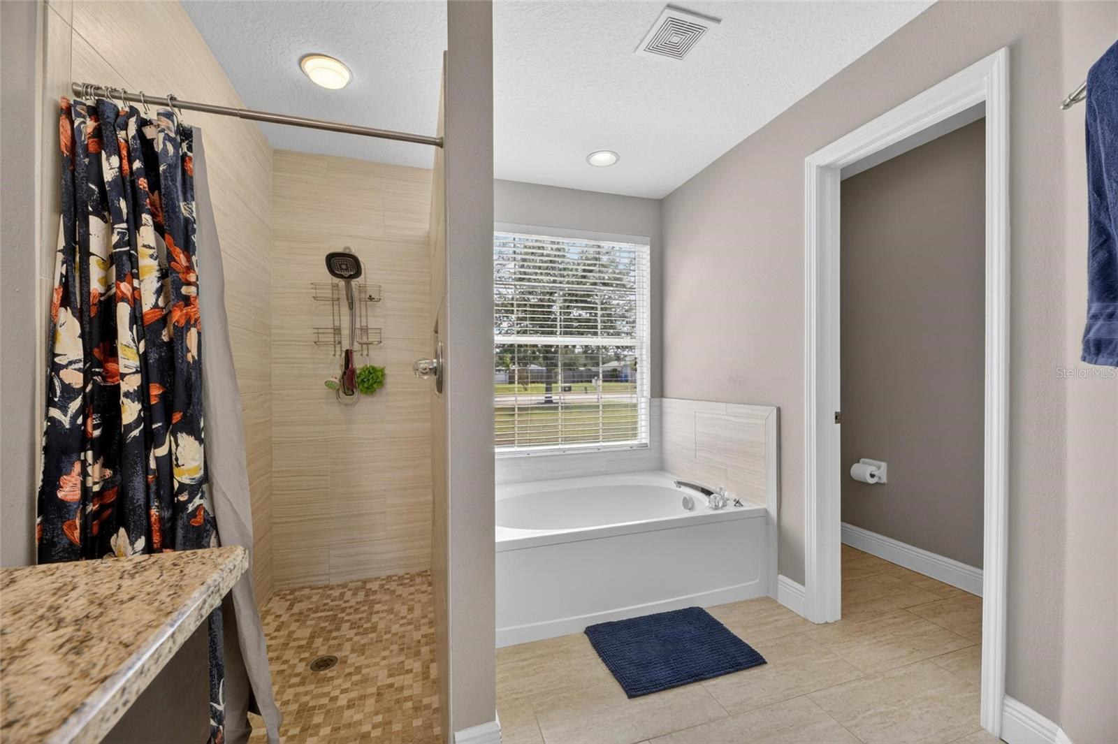 4409 WINDMILL POINTE DR, PLANT CITY, FL, 33567