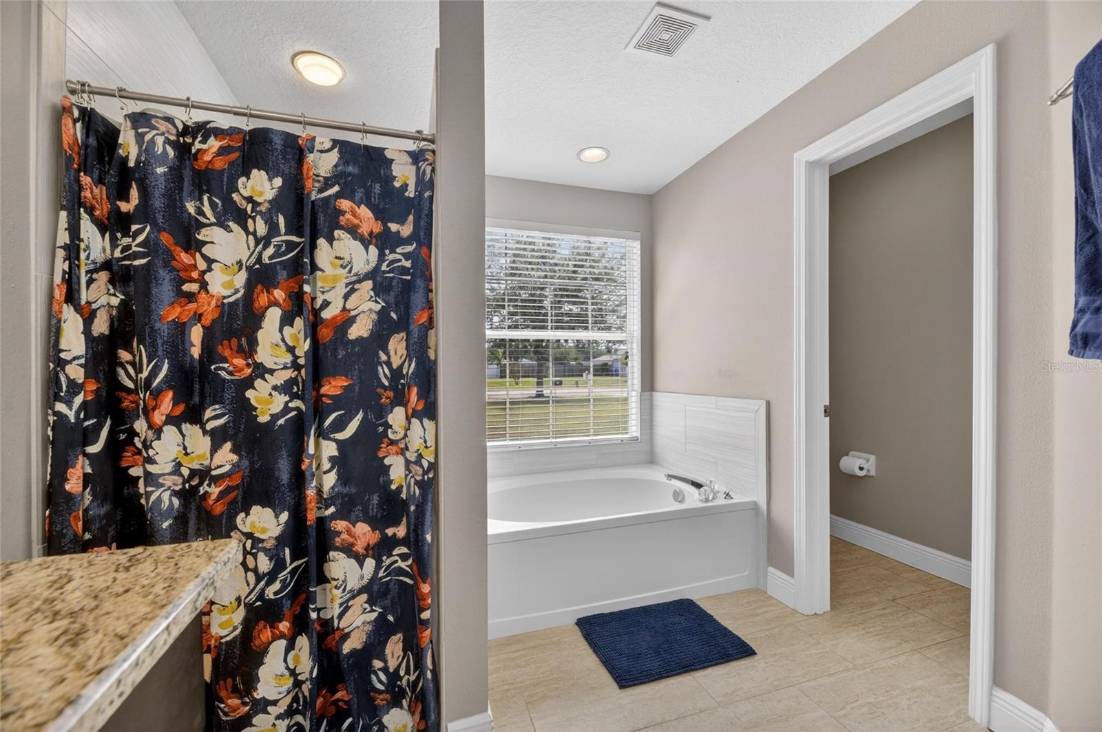 4409 WINDMILL POINTE DR, PLANT CITY, FL, 33567