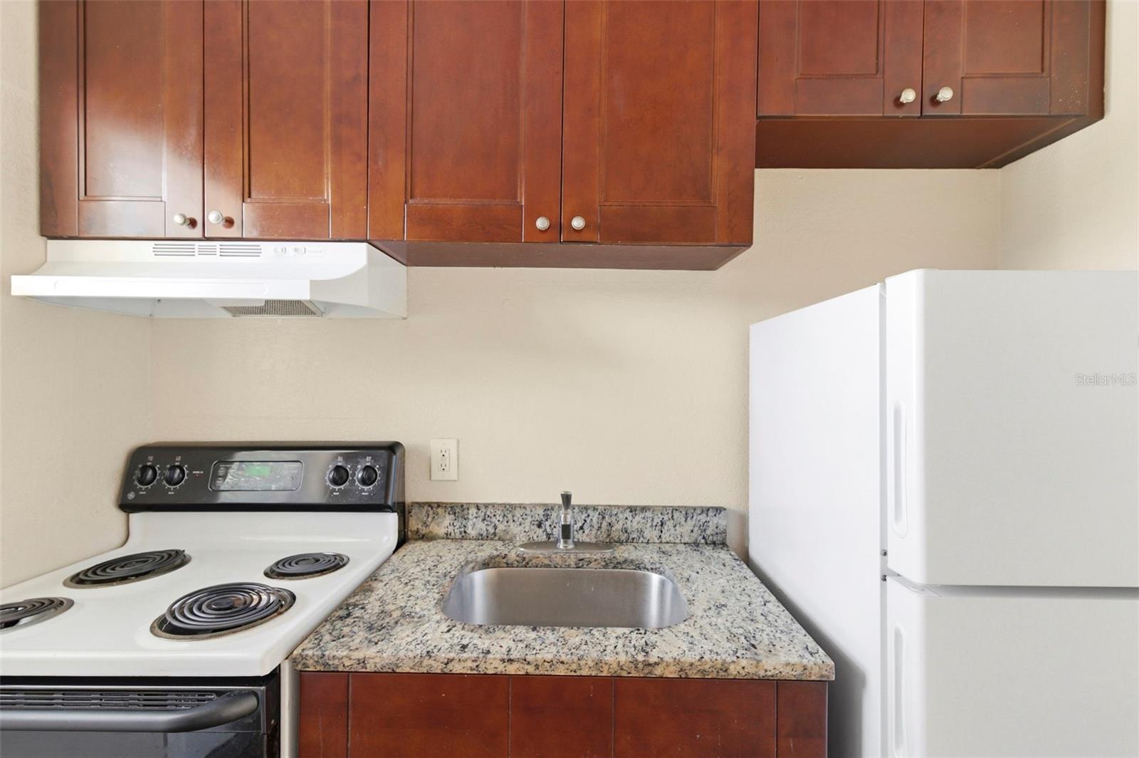 1799 RUSSELL ST S #3, ST PETERSBURG, FL, 33712