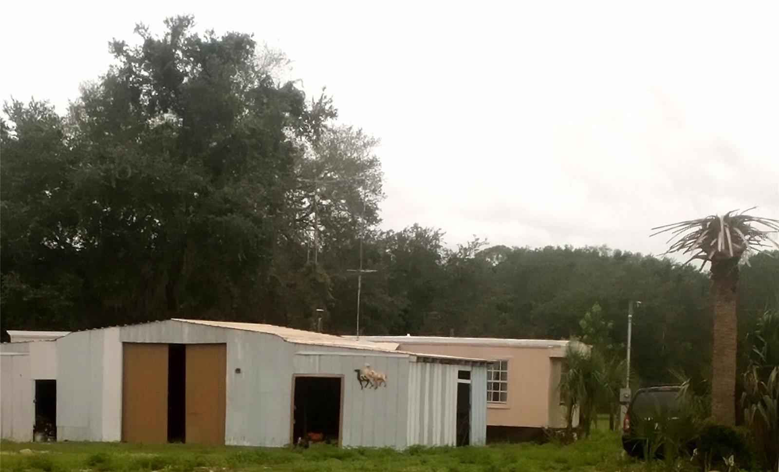 17936 SE 95TH STREET RD, OCKLAWAHA, FL, 32179
