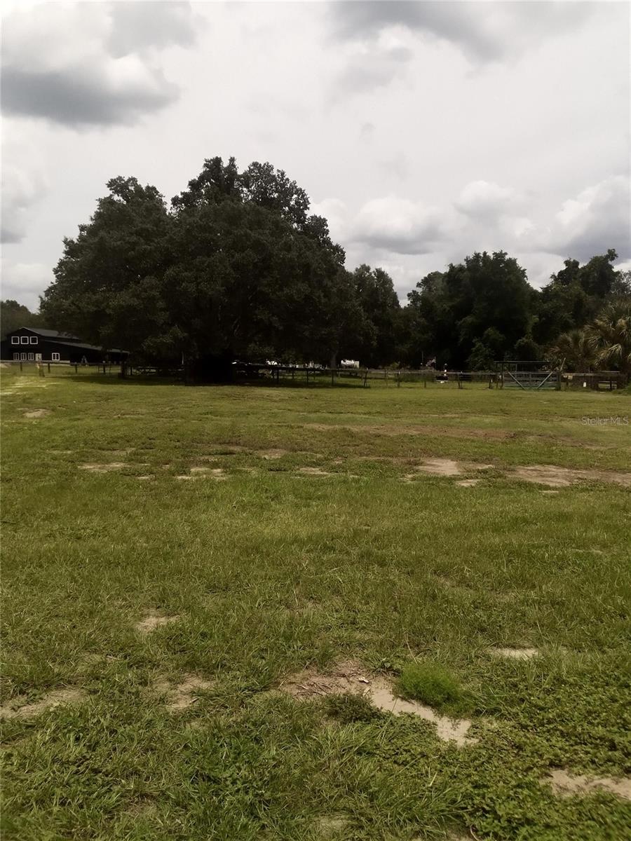 17936 SE 95TH STREET RD, OCKLAWAHA, FL, 32179