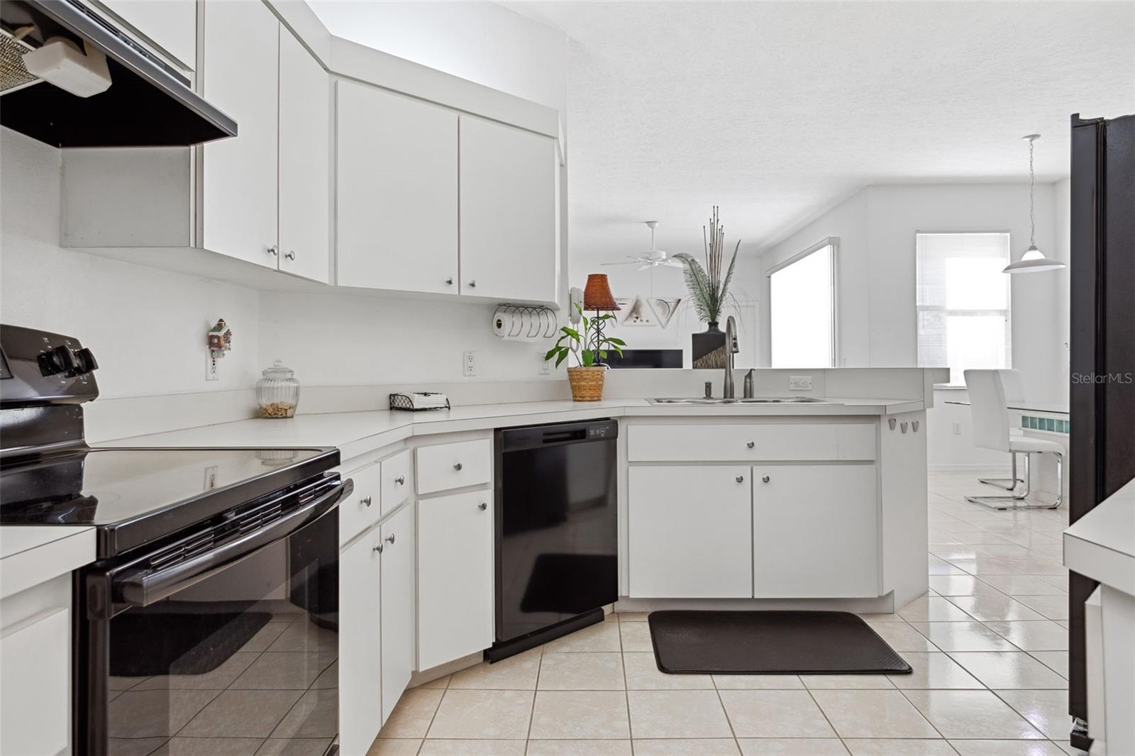 9016 EASTHAVEN CT, NEW PORT RICHEY, FL, 34655
