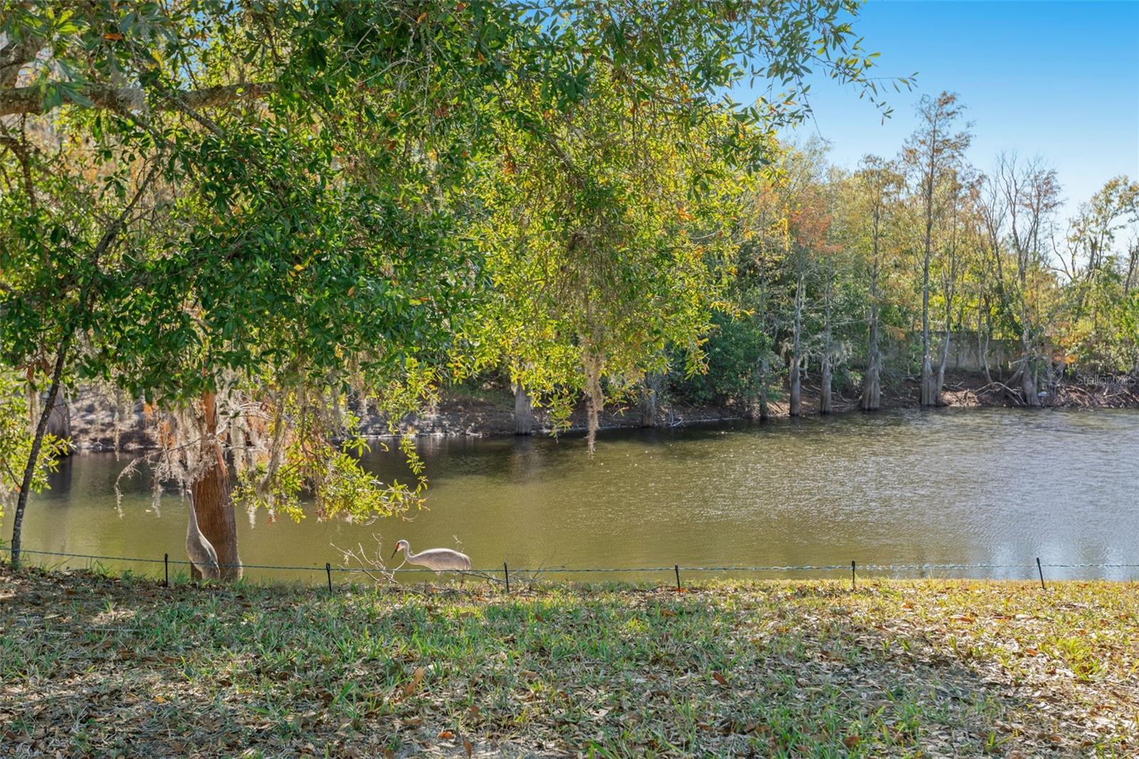 9016 EASTHAVEN CT, NEW PORT RICHEY, FL, 34655