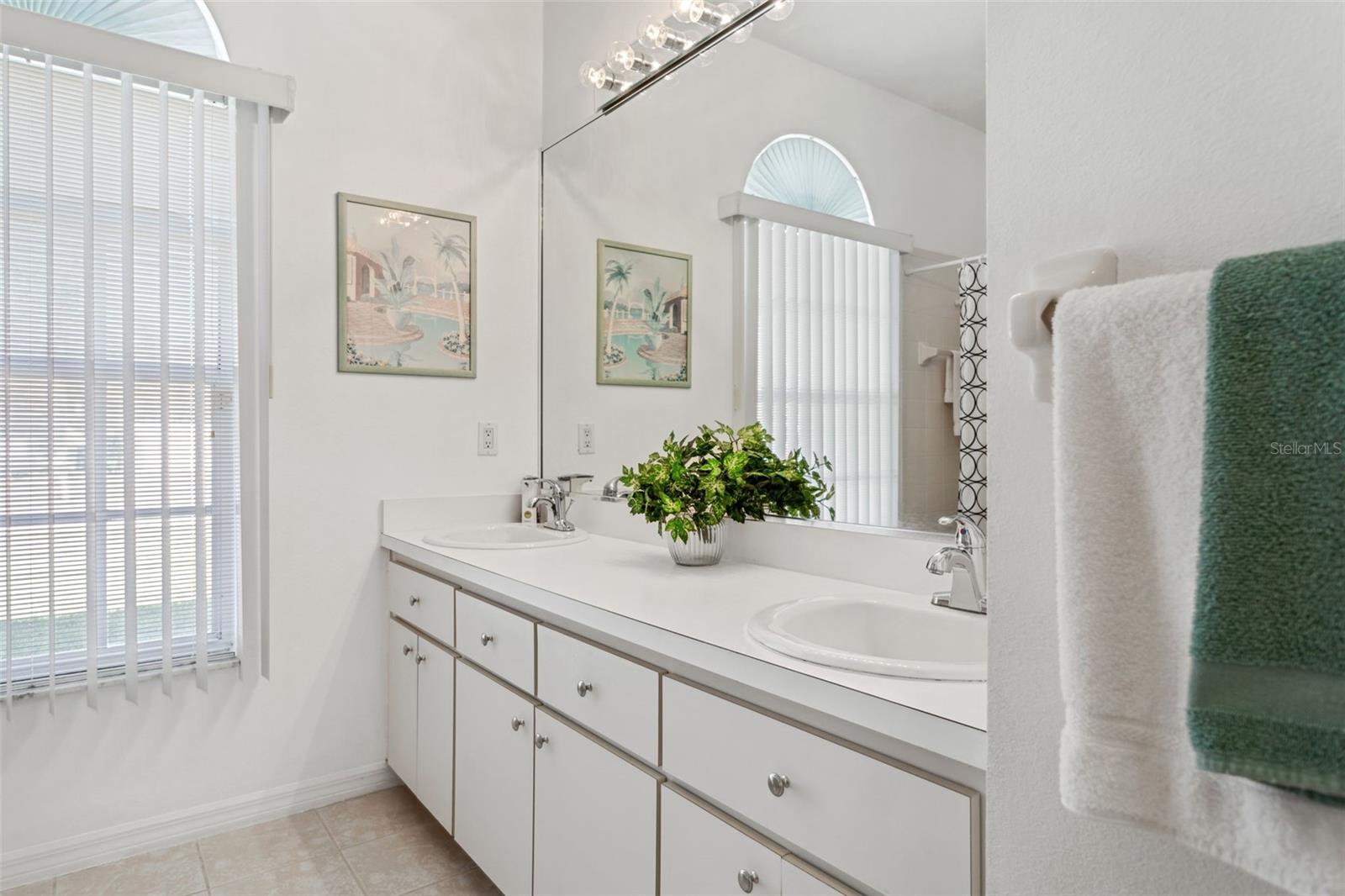 9016 EASTHAVEN CT, NEW PORT RICHEY, FL, 34655