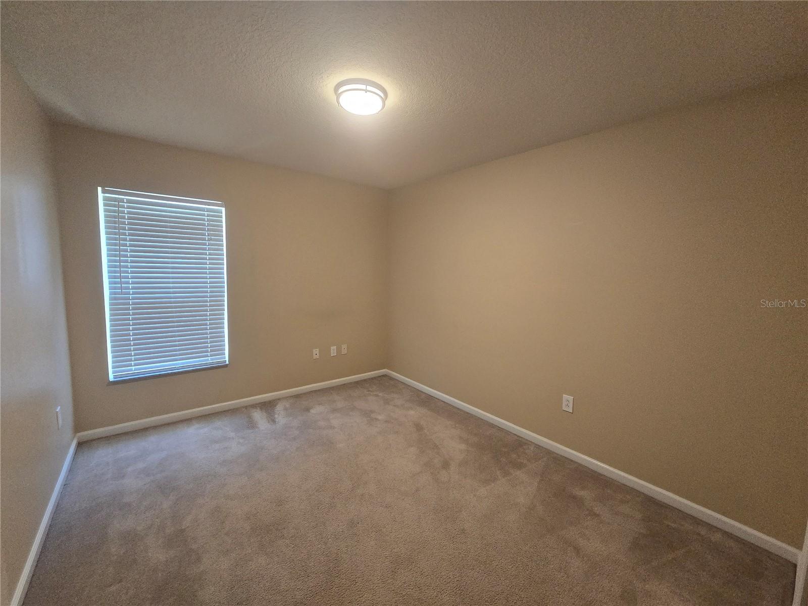7624 GRANITVILLE DR, WESLEY CHAPEL, FL, 33545