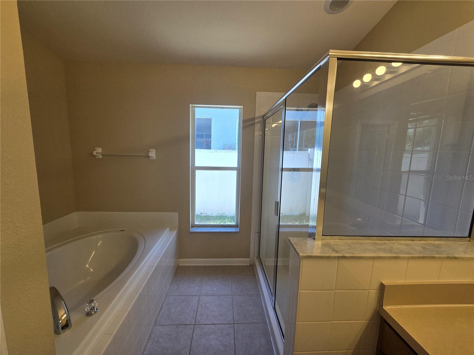 7624 GRANITVILLE DR, WESLEY CHAPEL, FL, 33545