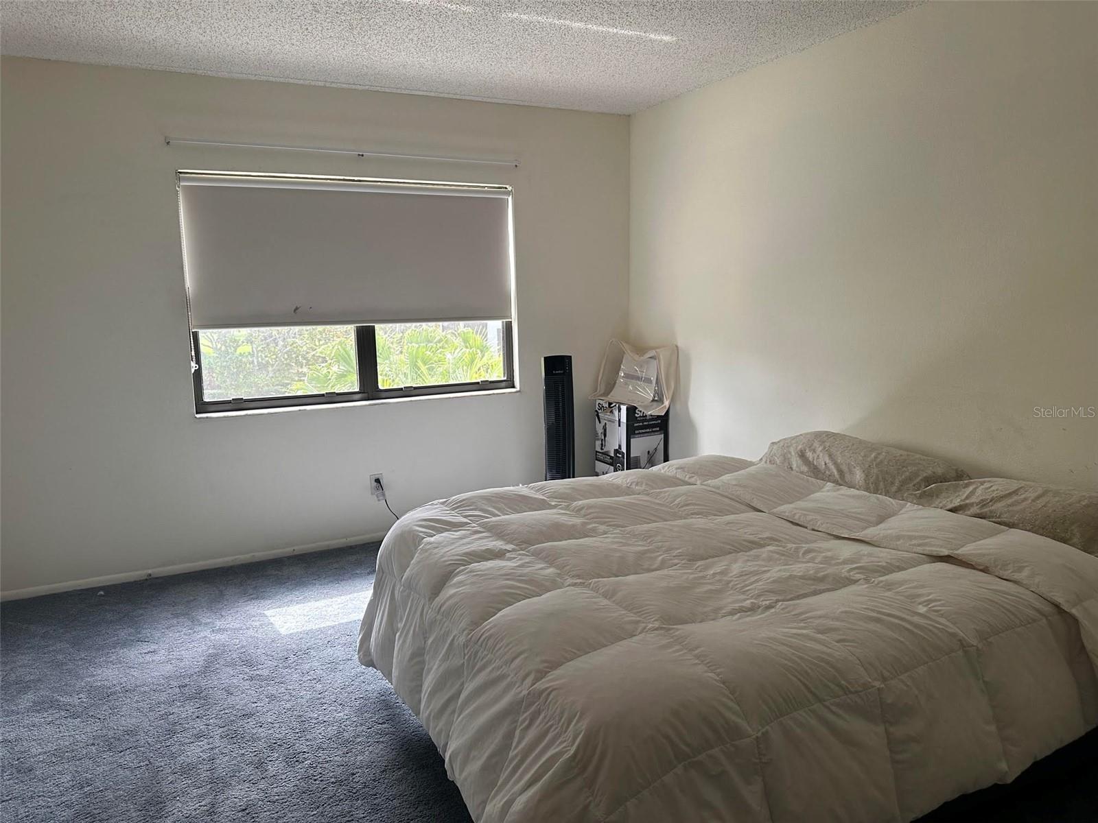 5090 BAY ST NE #220, ST PETERSBURG, FL, 33703