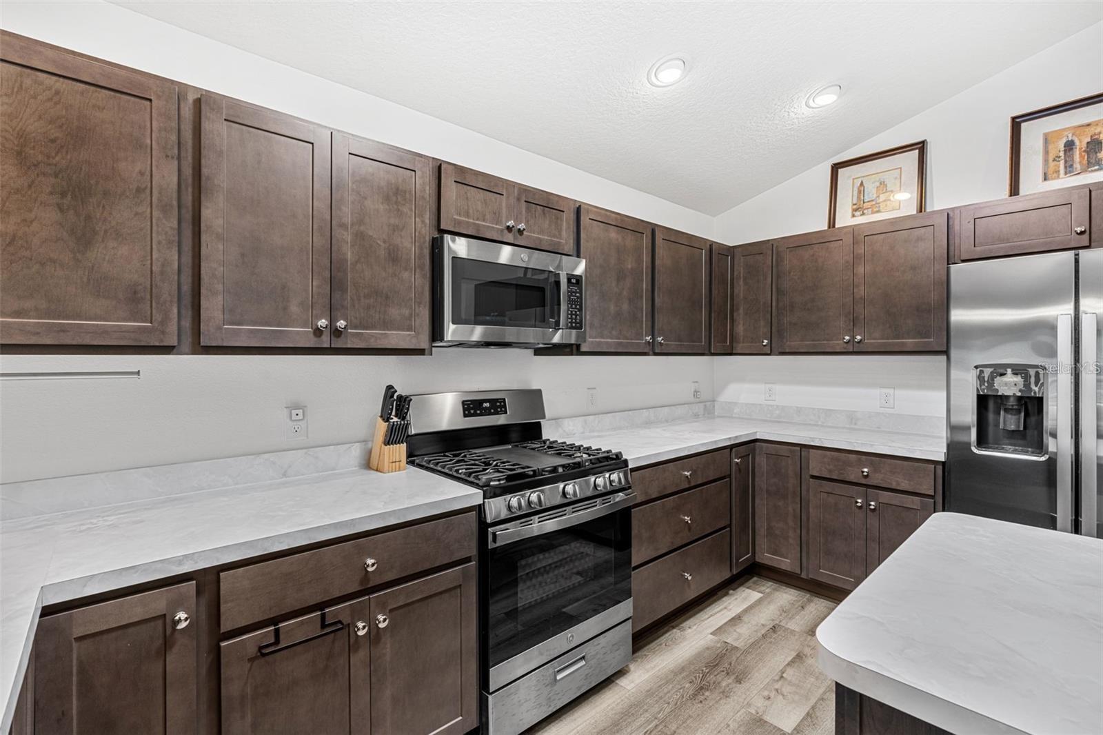 4346 HELENA TER, THE VILLAGES, FL, 32163