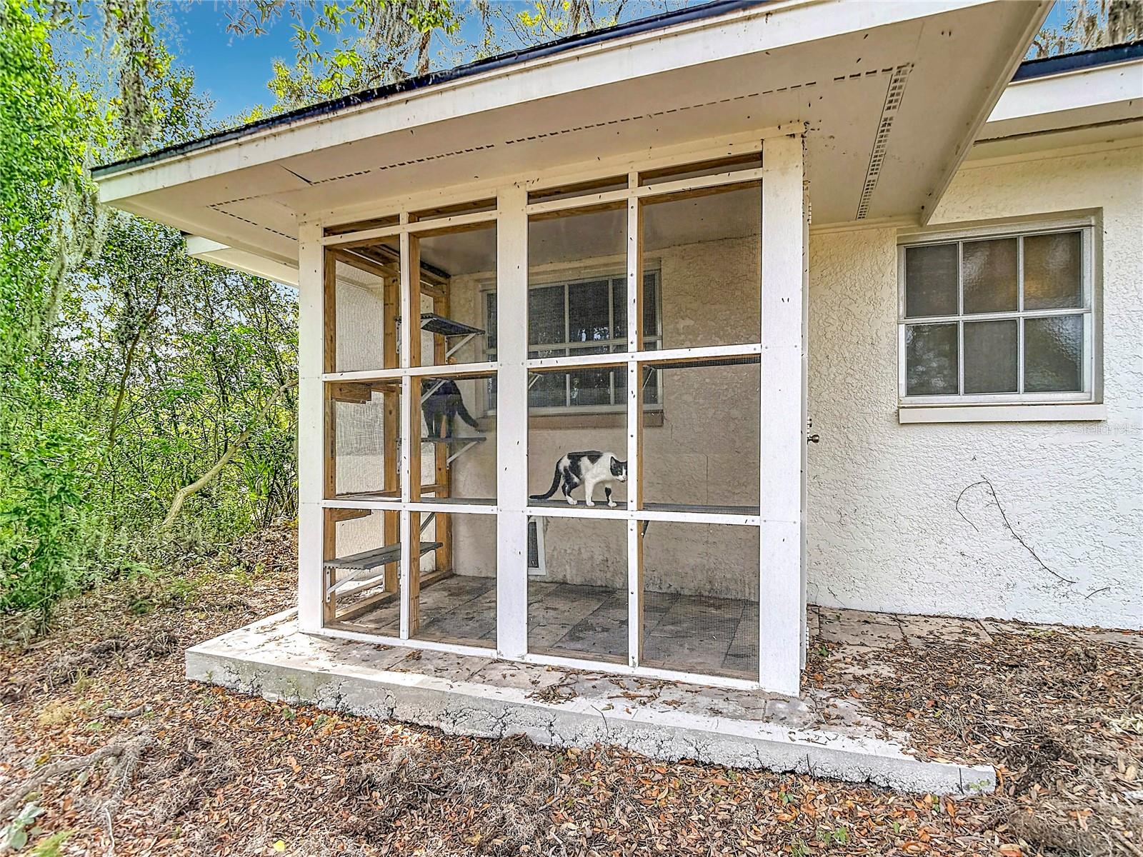 5433 FRONT DR, HOLIDAY, FL, 34690