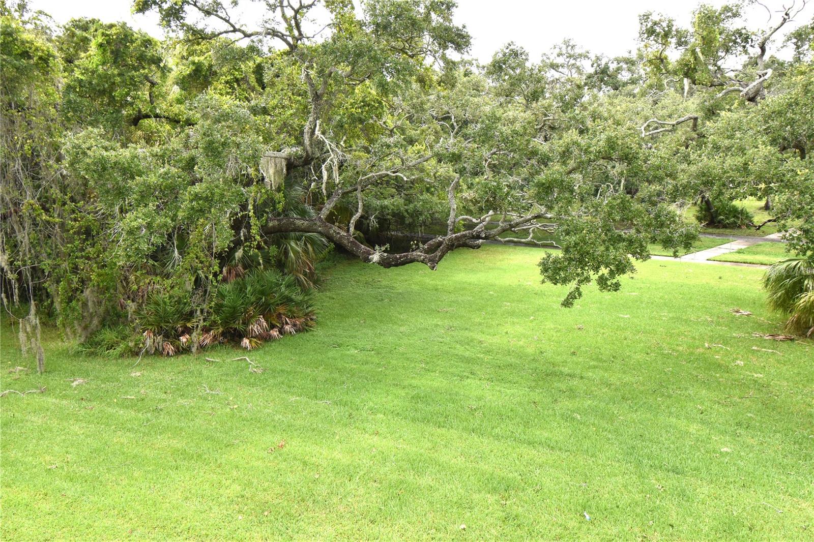 420 N BAYSHORE BLVD #202, CLEARWATER, FL, 33759
