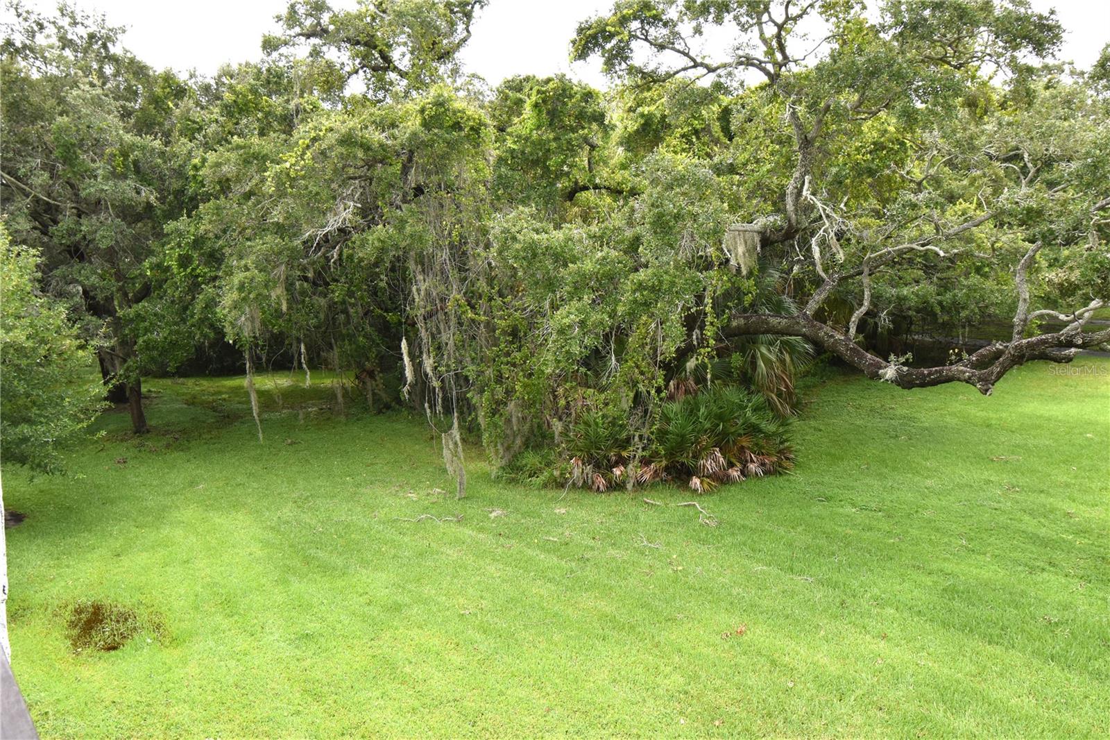 420 N BAYSHORE BLVD #202, CLEARWATER, FL, 33759