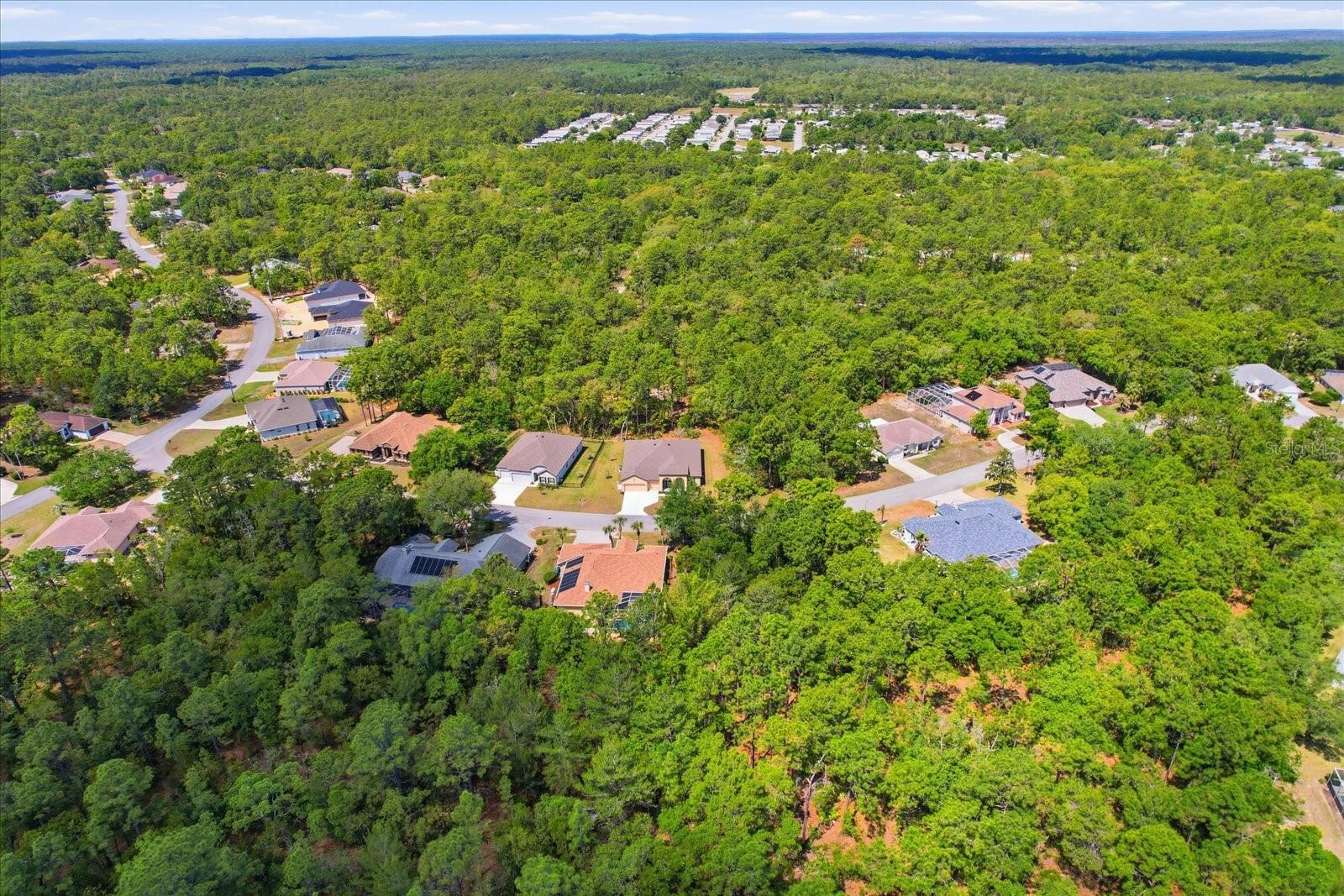 7 BELLS OF IRELAND CT, HOMOSASSA, FL, 34446