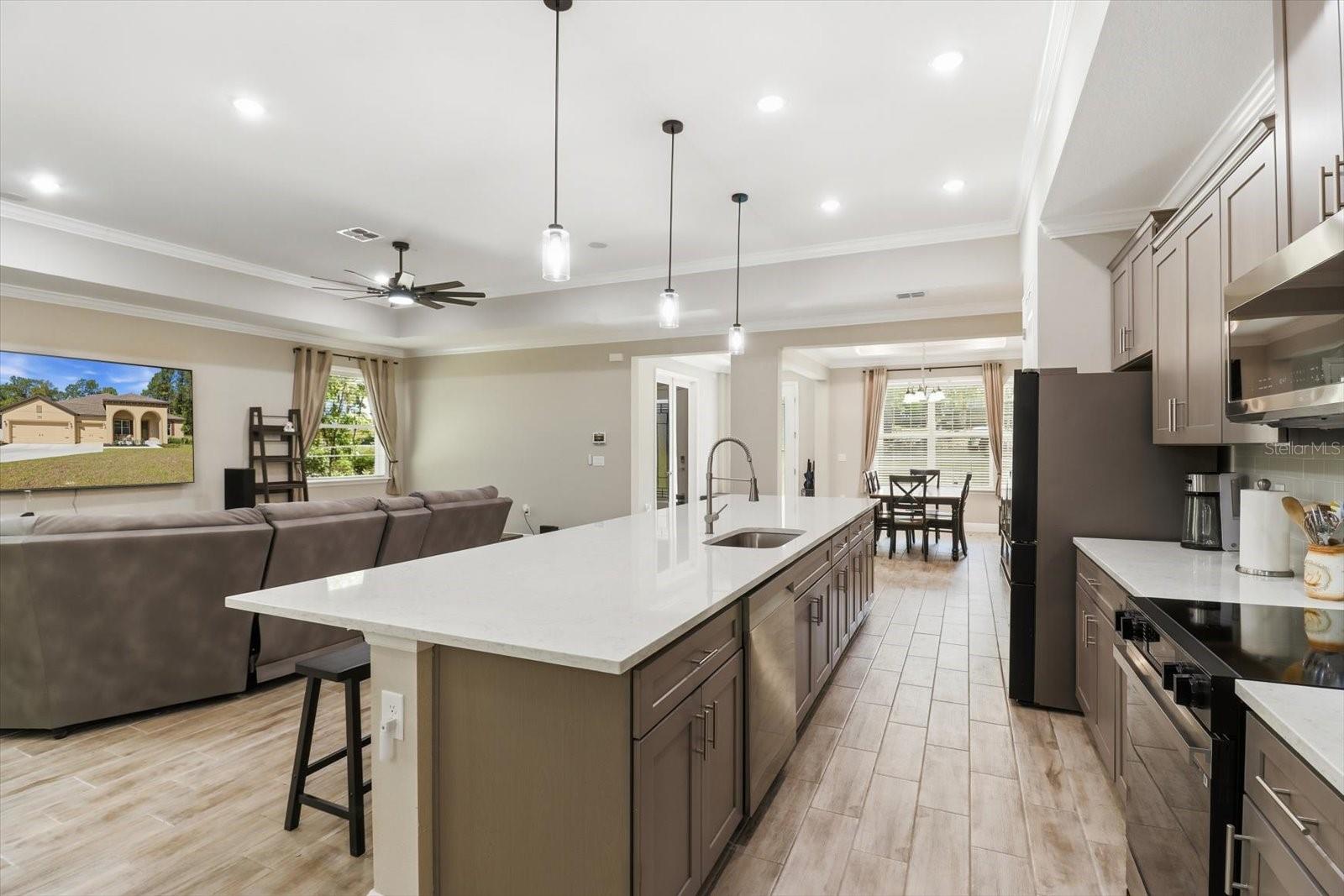 7 BELLS OF IRELAND CT, HOMOSASSA, FL, 34446
