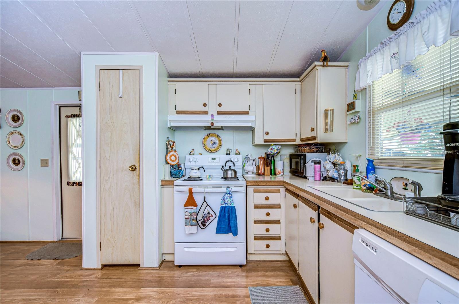 3843 DAMIAN DR, ZEPHYRHILLS, FL, 33541