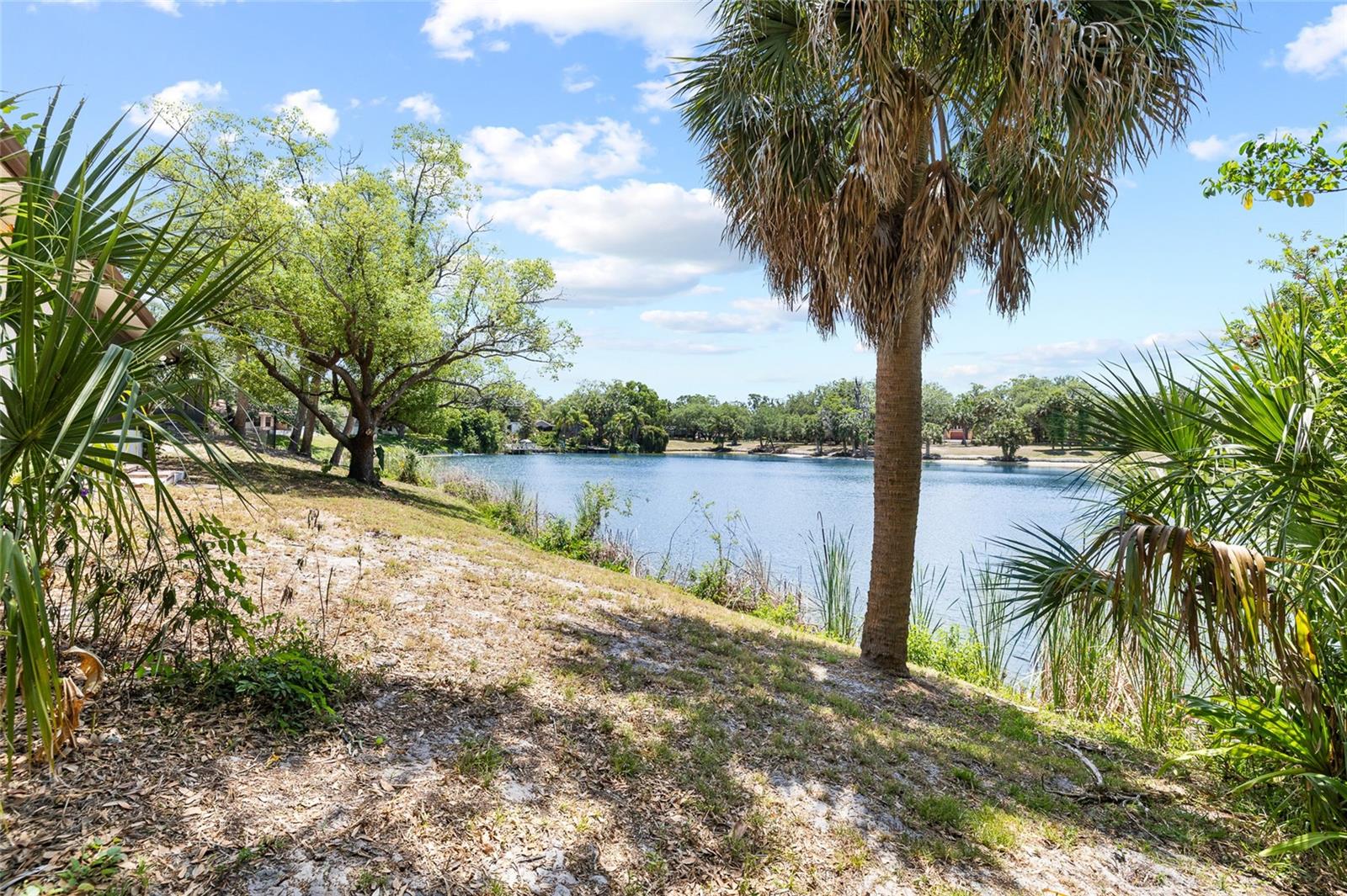 7415 LAKE FOREST CIR, PORT RICHEY, FL, 34668