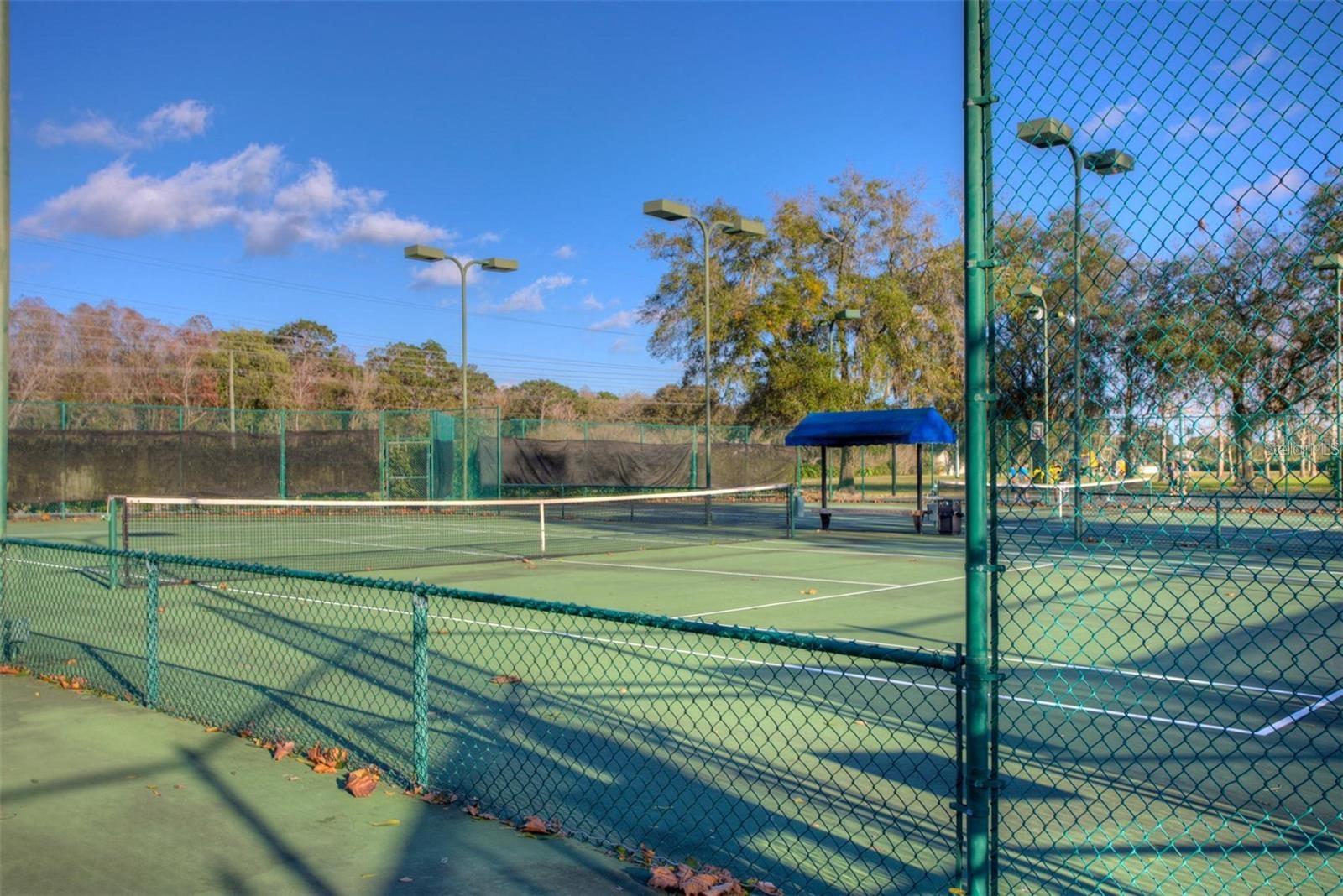 5125 PALM SPRINGS BLVD #9204, TAMPA, FL, 33647