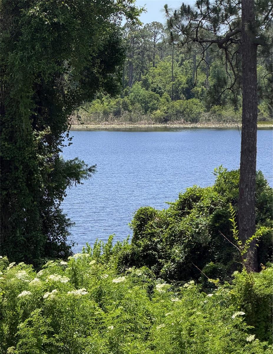 2550 N ALAFAYA TRL #8204, ORLANDO, FL, 32826