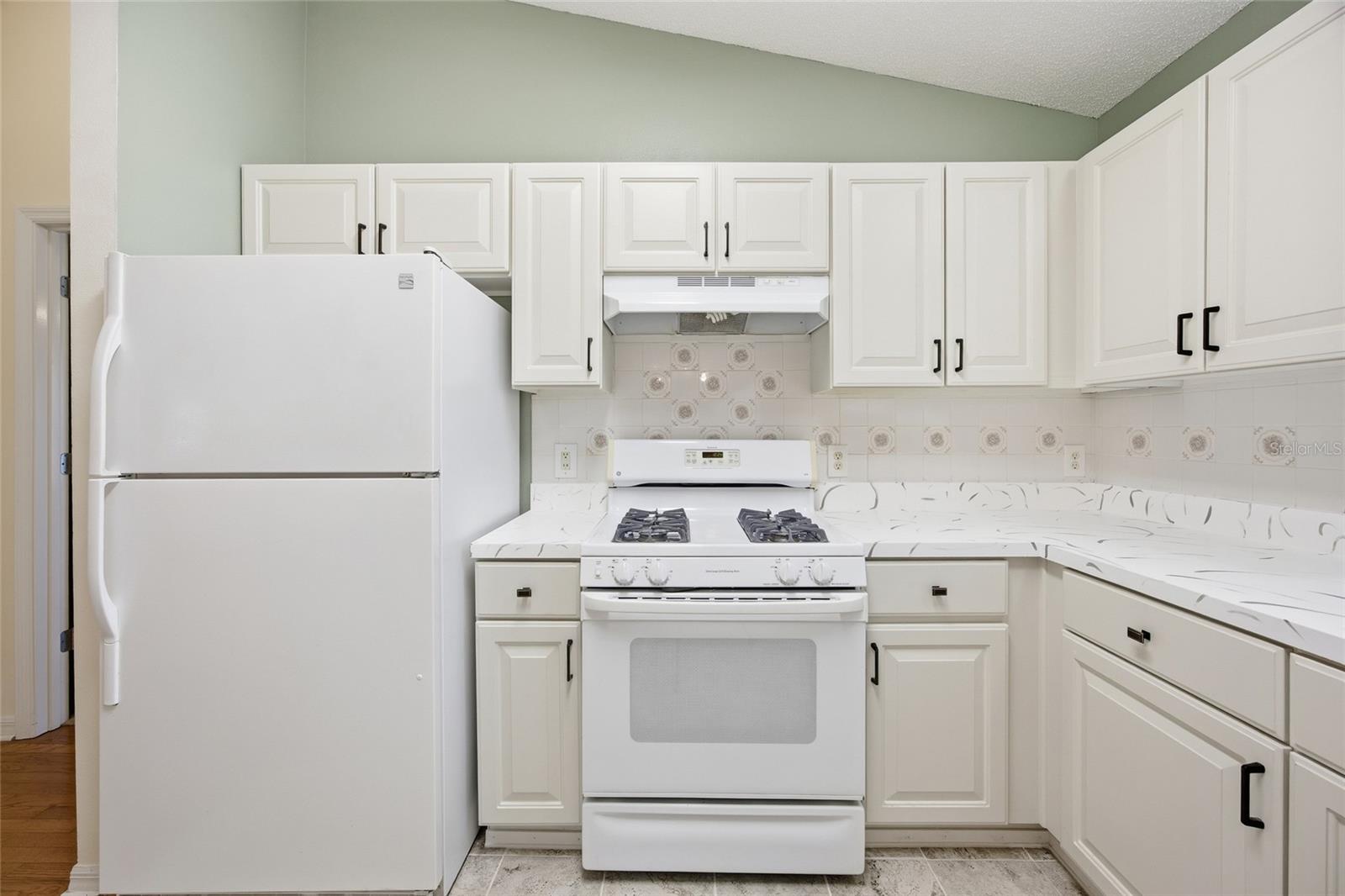 17705 SE 93RD HAWTHORNE AVE, THE VILLAGES, FL, 32162