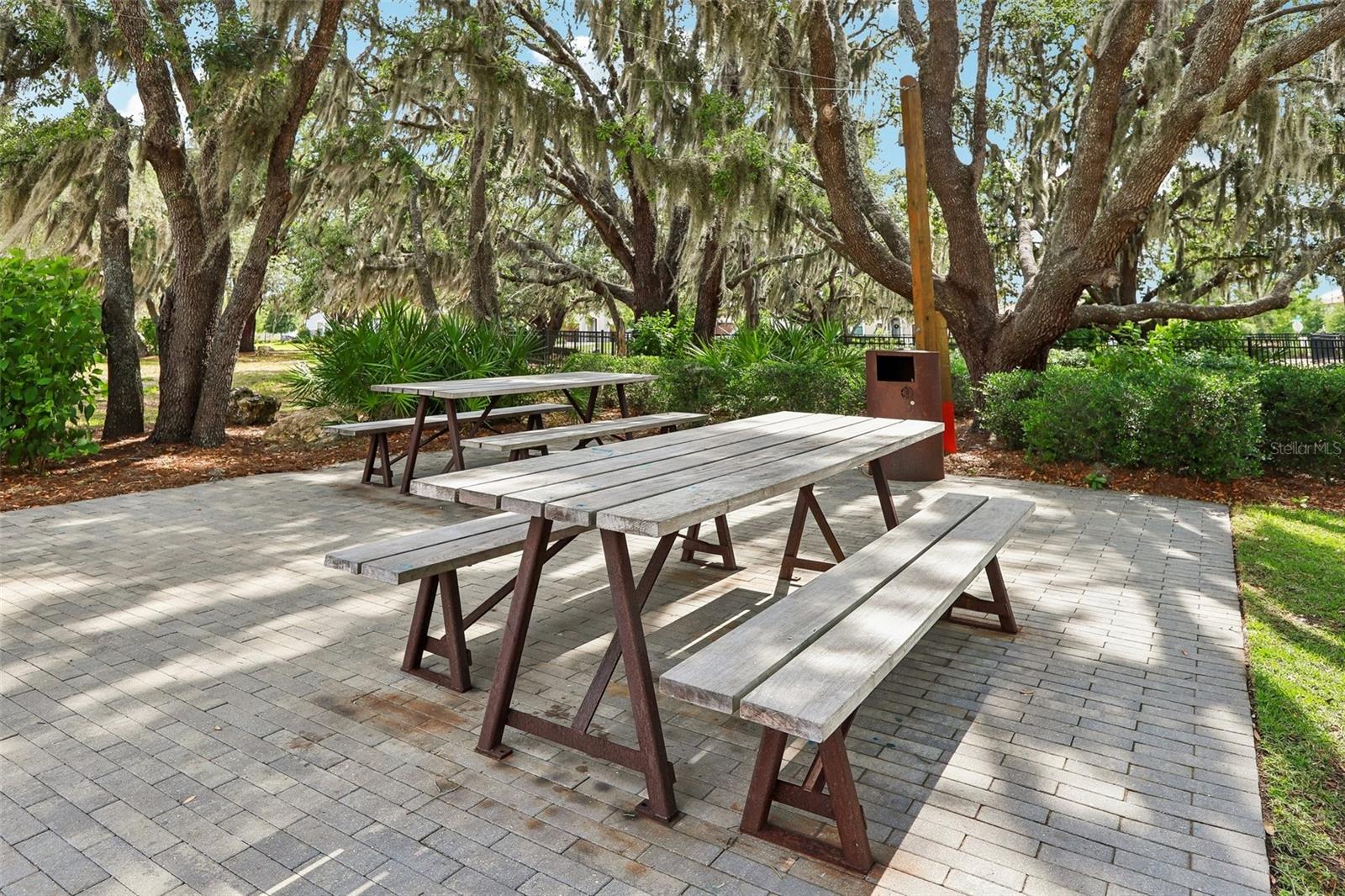 3998 NIGHT STAR TRL, ODESSA, FL, 33556