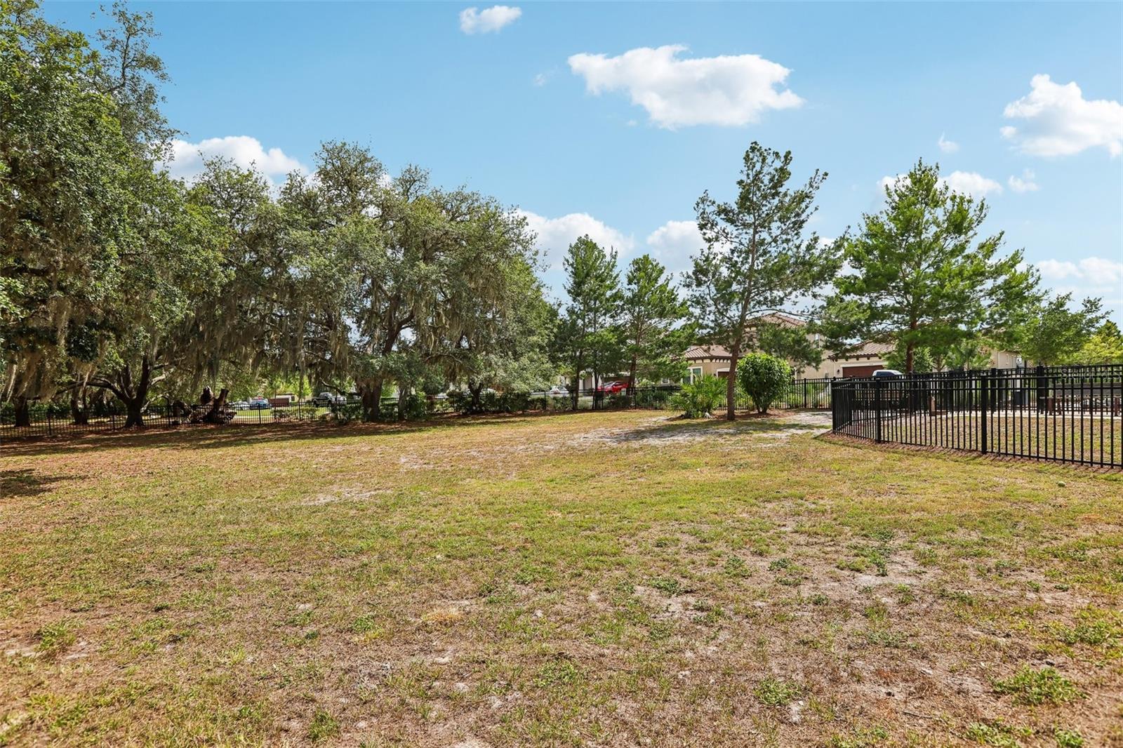 3998 NIGHT STAR TRL, ODESSA, FL, 33556