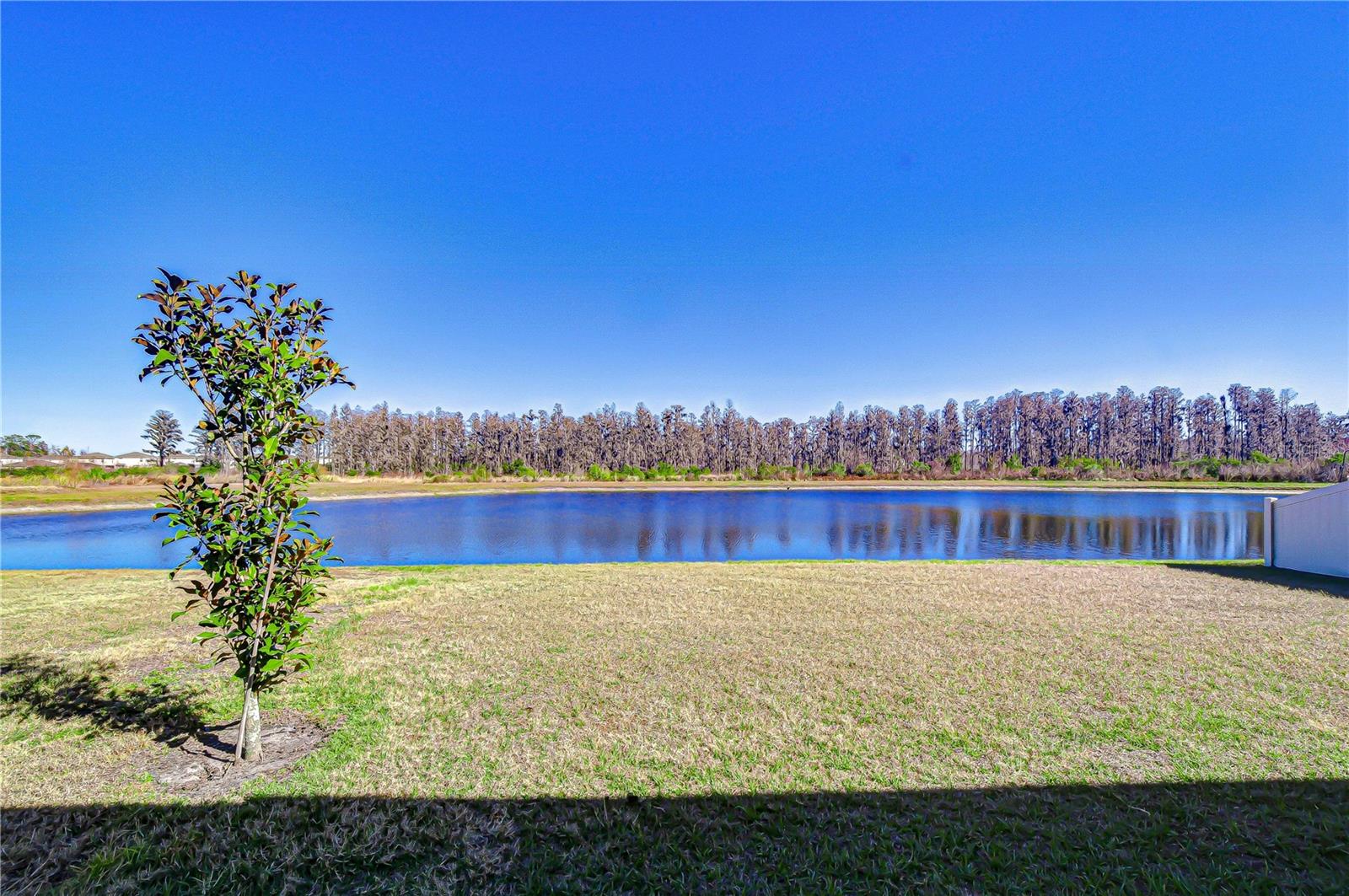 10422 GLIDING EAGLE WAY, LAND O LAKES, FL, 34638