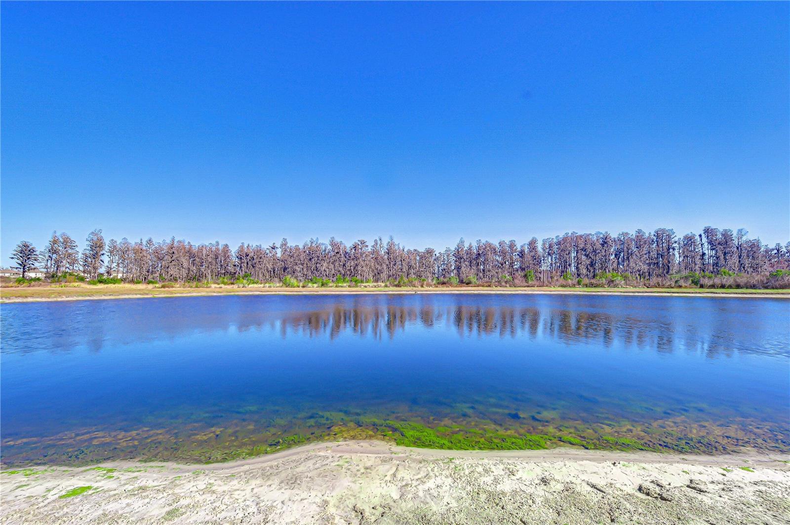 10422 GLIDING EAGLE WAY, LAND O LAKES, FL, 34638