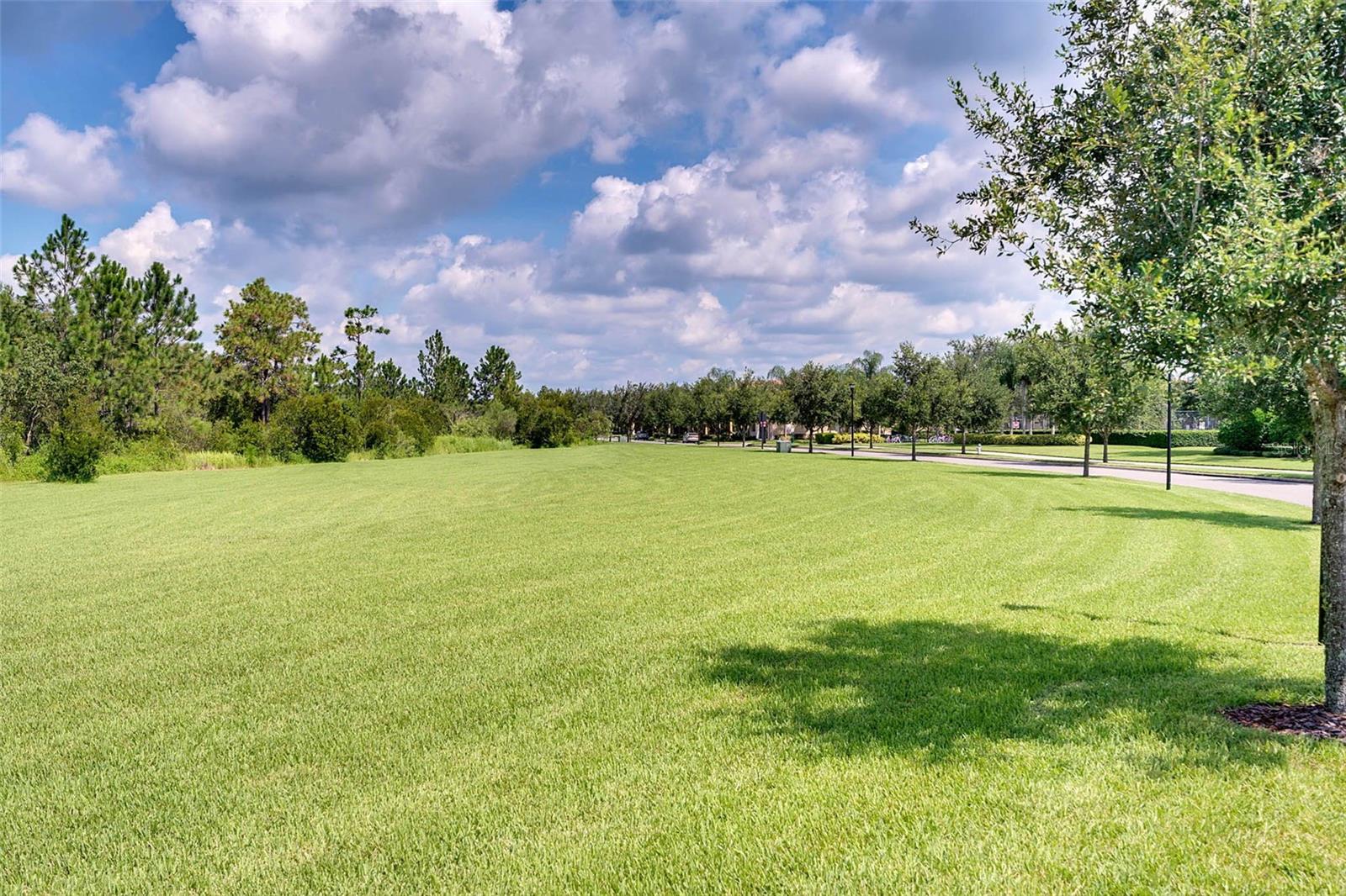 11844 ASTILBE DR, ORLANDO, FL, 32827
