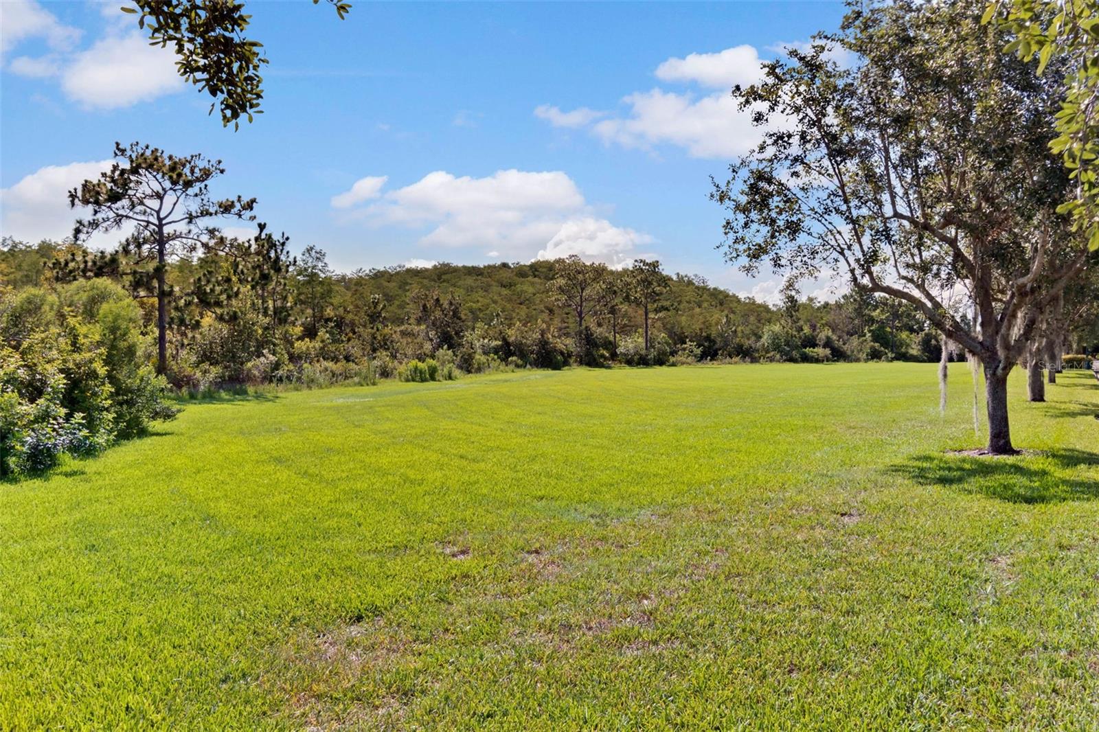 11844 ASTILBE DR, ORLANDO, FL, 32827