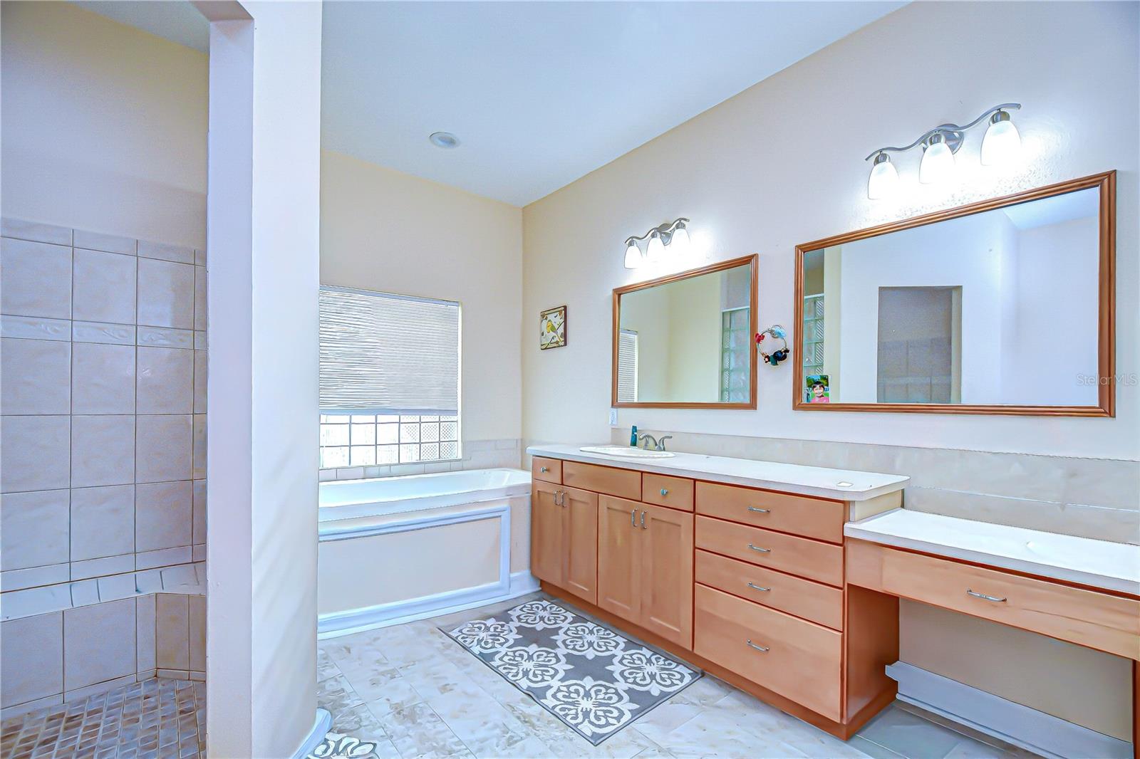 4036 MOORES LAKE RD, DOVER, FL, 33527