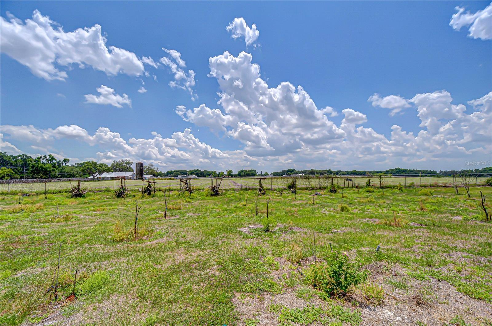 4036 MOORES LAKE RD, DOVER, FL, 33527