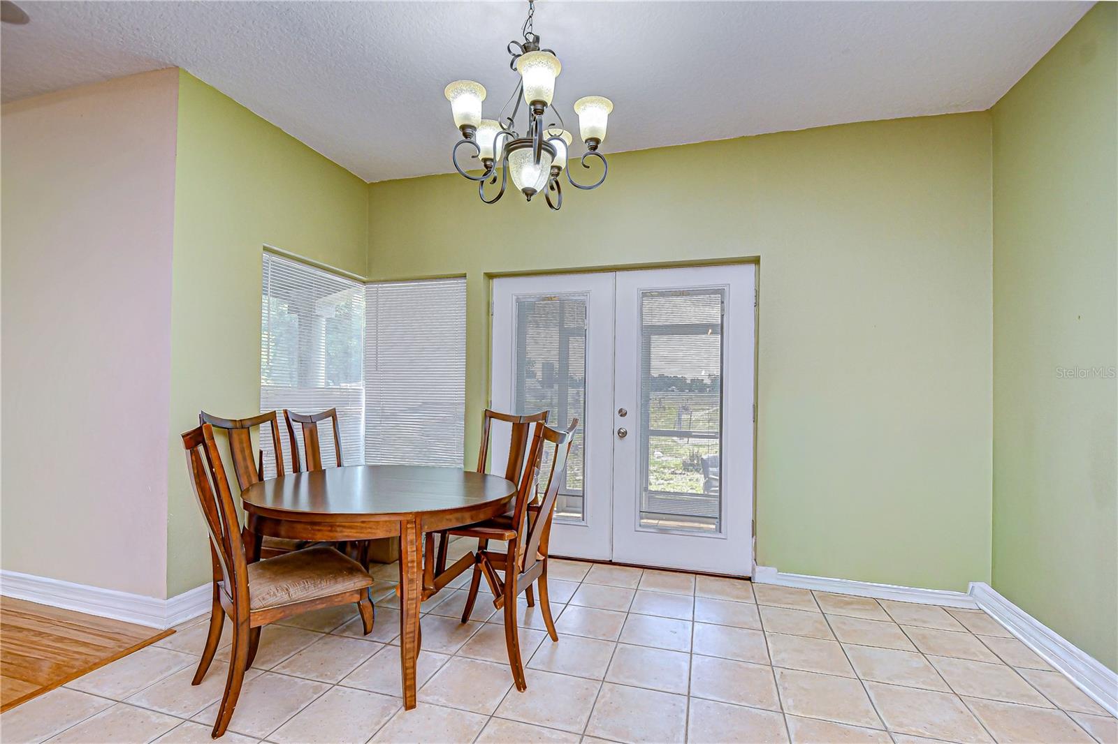 4036 MOORES LAKE RD, DOVER, FL, 33527