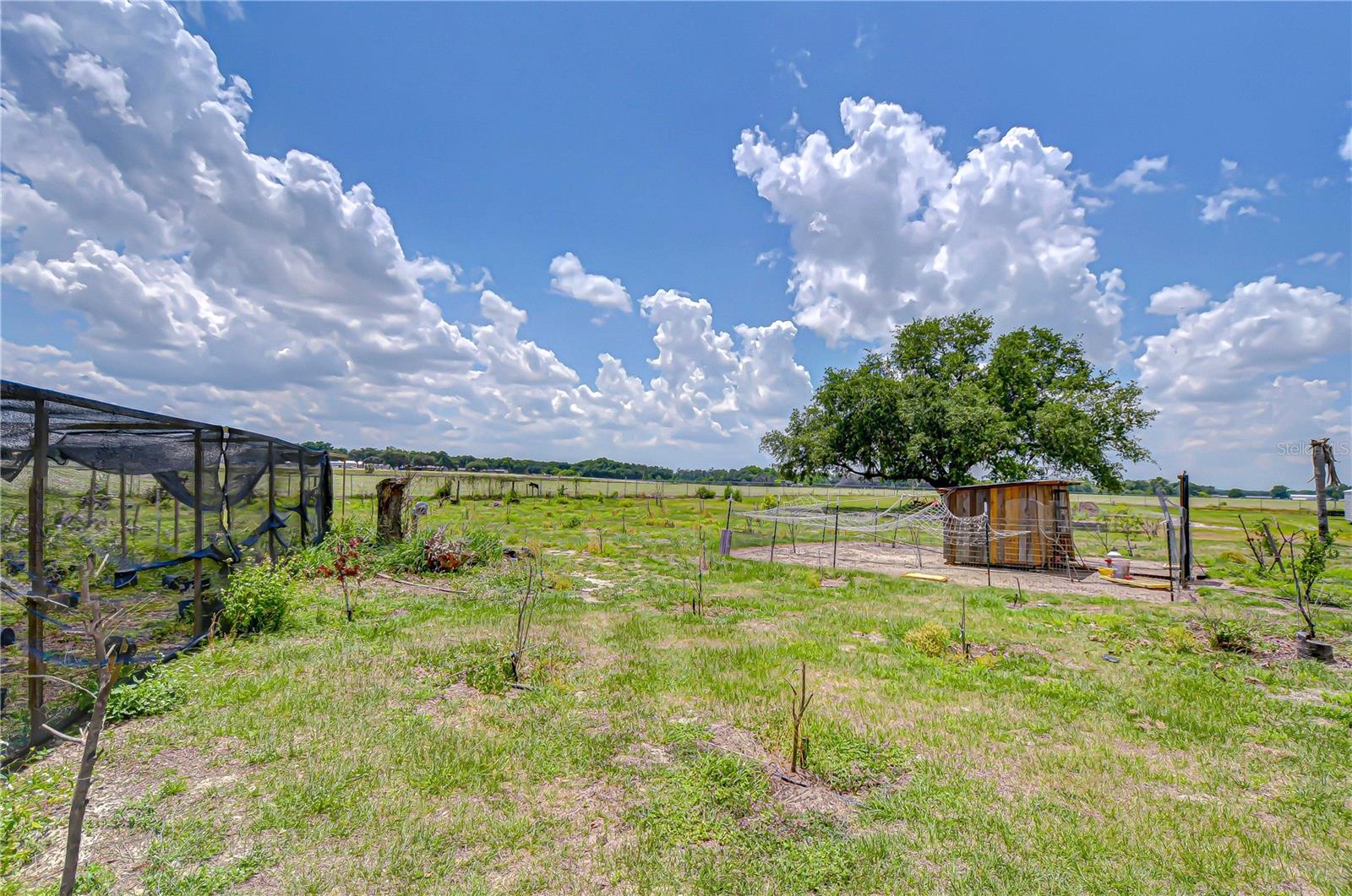 4036 MOORES LAKE RD, DOVER, FL, 33527