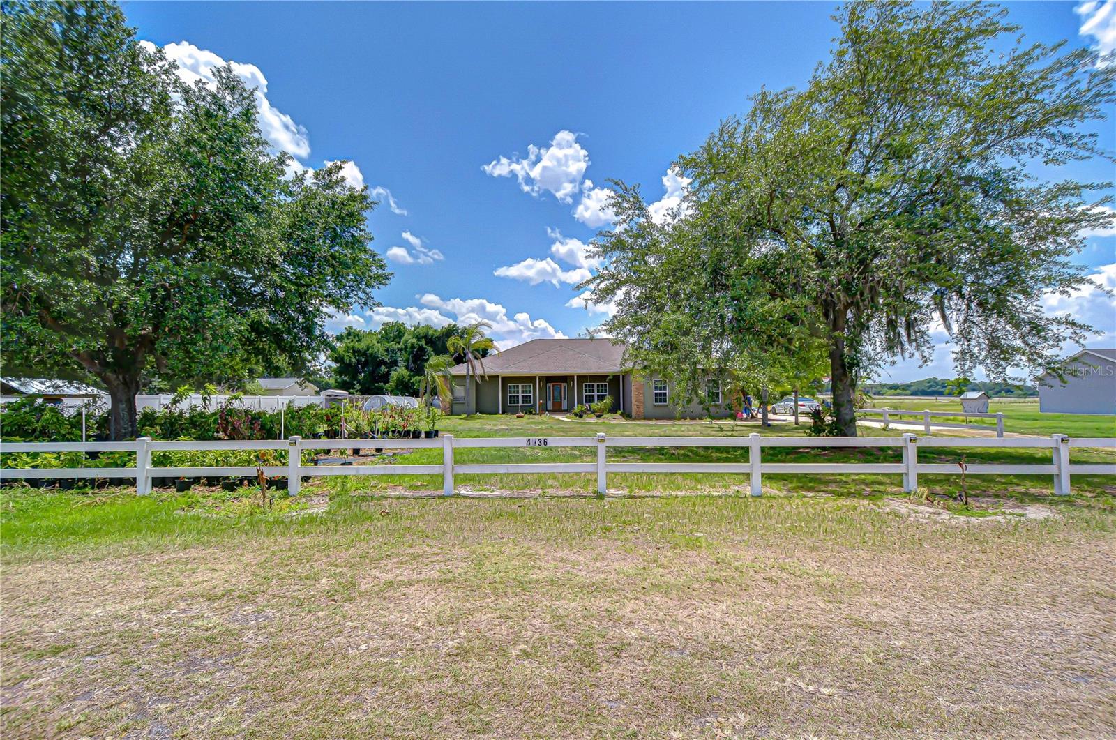 4036 MOORES LAKE RD, DOVER, FL, 33527
