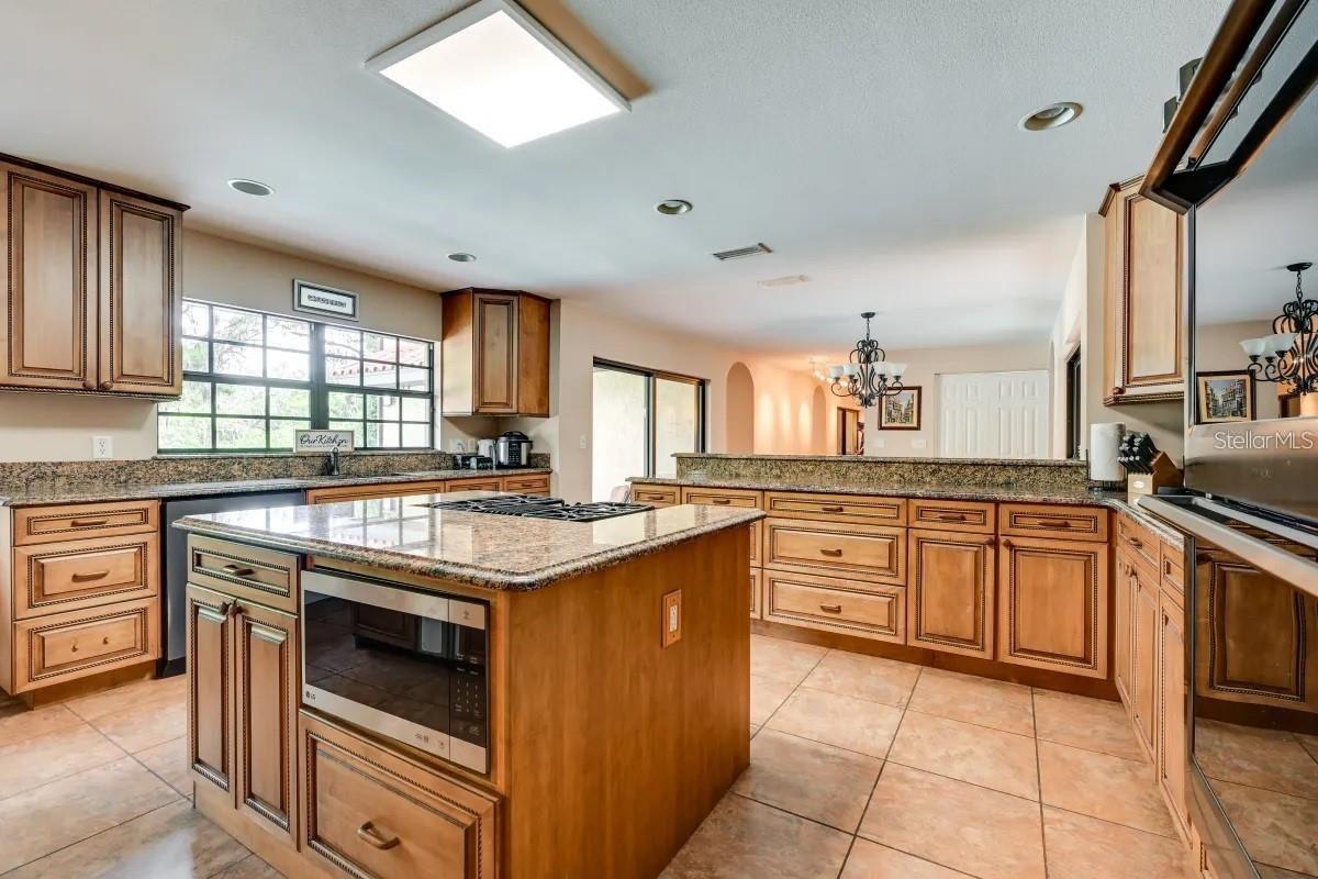 12103 BRIGHTWATER BLVD, TEMPLE TERRACE, FL, 33617