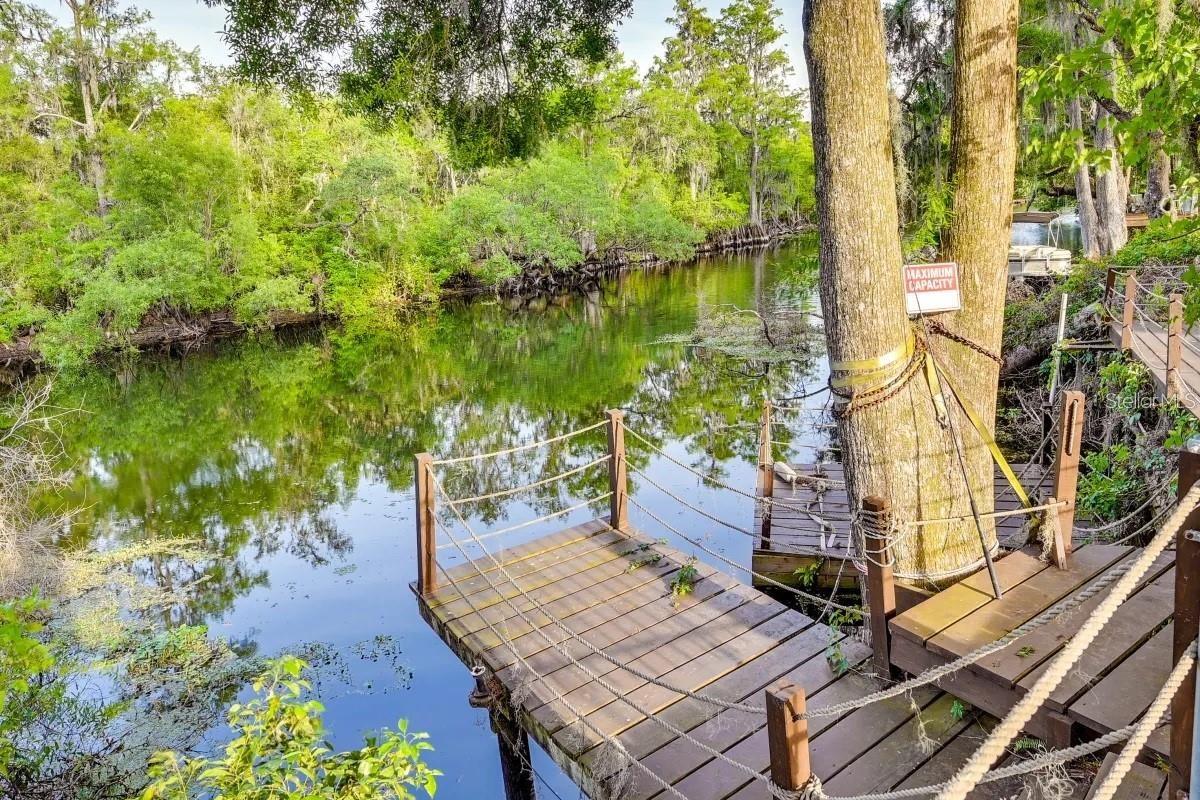 12103 BRIGHTWATER BLVD, TEMPLE TERRACE, FL, 33617