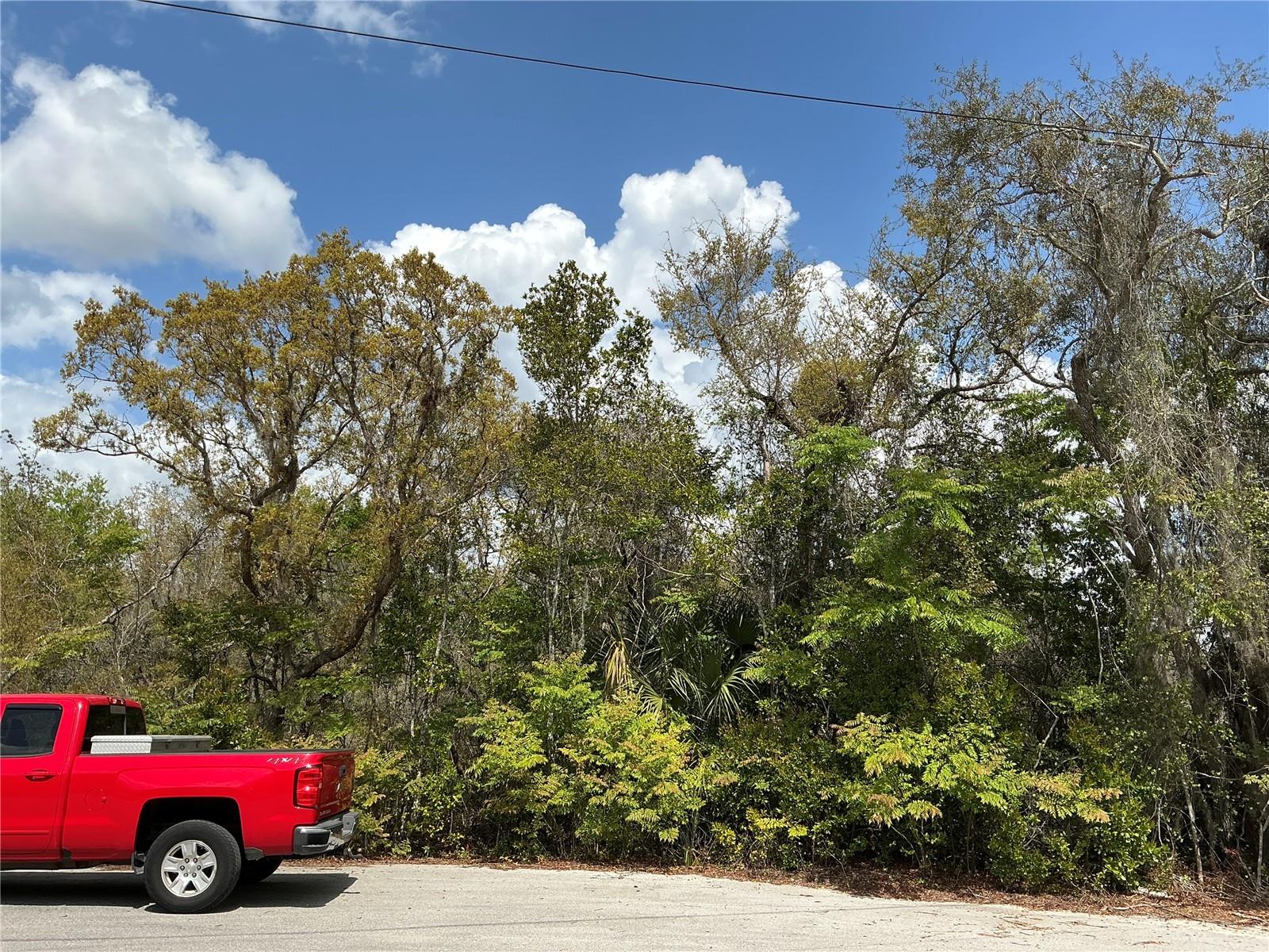 ASH PASS RUN, OCALA, FL, 34472